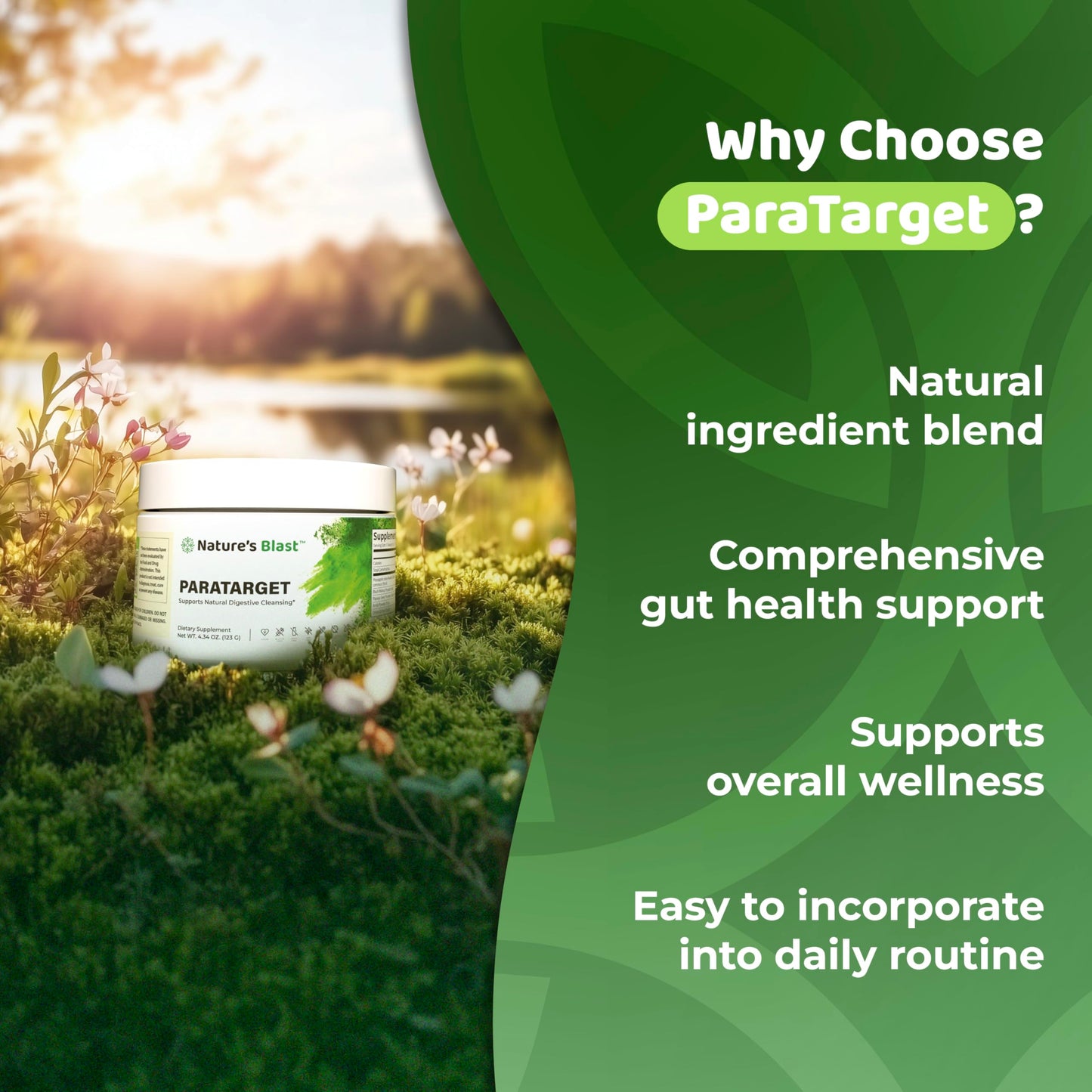 NATURES BLAST ParaTarget - Gut Cleanse Powder Supplement - Intestinal Gut Health Formula with Black Walnut, Wormwood, Turmeric & More - Natural Wellness Supplements for Women & Men - 30 Servings
