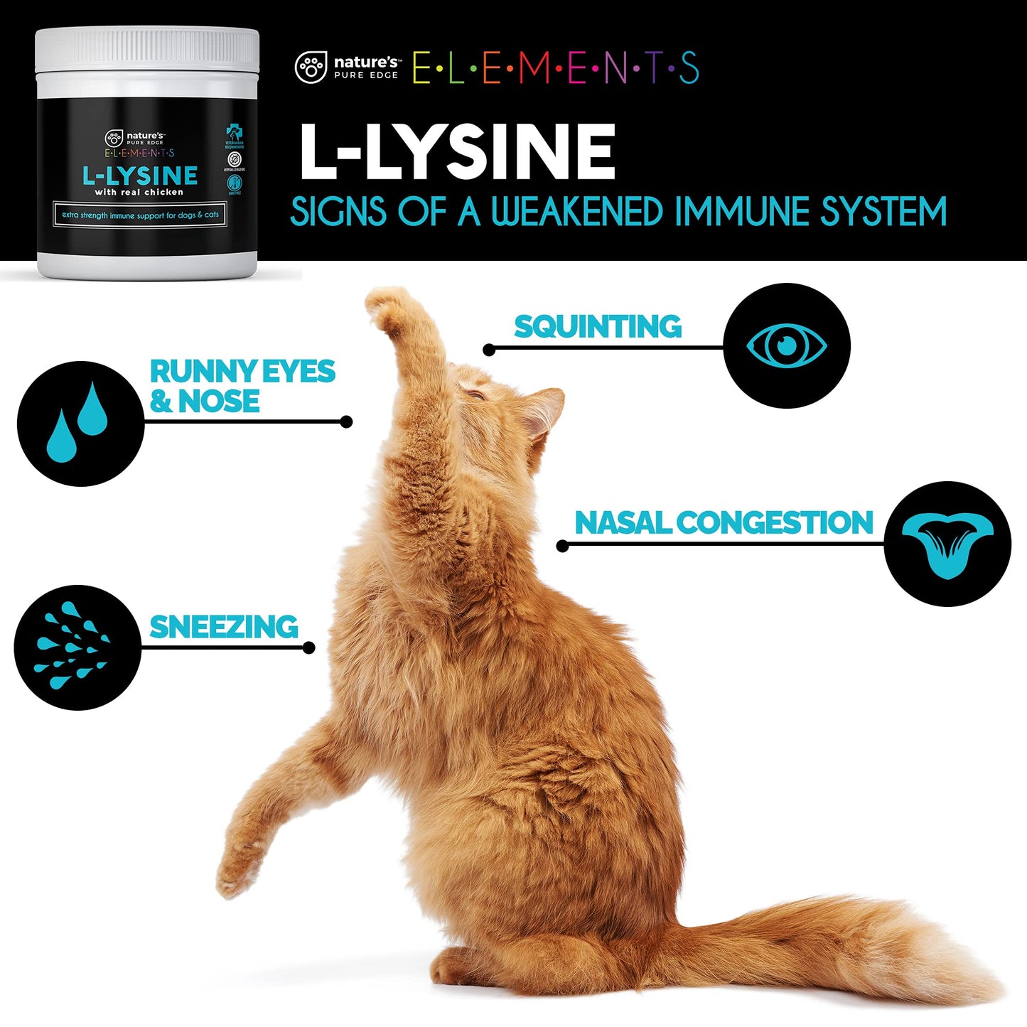 Original Extra Strength L-Lysine Powder for Cats and Dogs -Improved Immune Response, Respiratory Health, and Eye Function. All Natural Chicken for Flavor. Extra Large 125 Grams.
