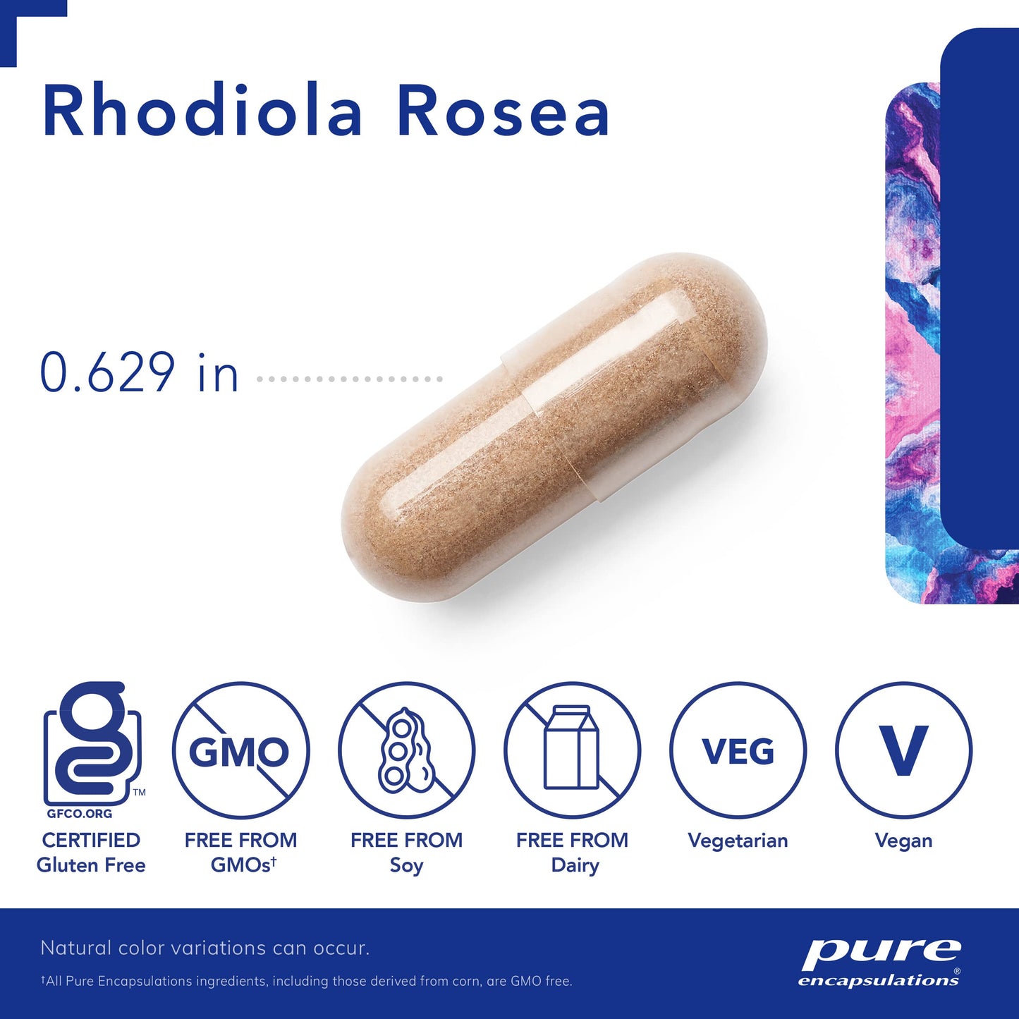 Pure Encapsulations Rhodiola Rosea - for Occasional Stress, Endurance & Fatigue Relief* - with Adaptogens - Gluten Free & Vegan - 180 Capsules