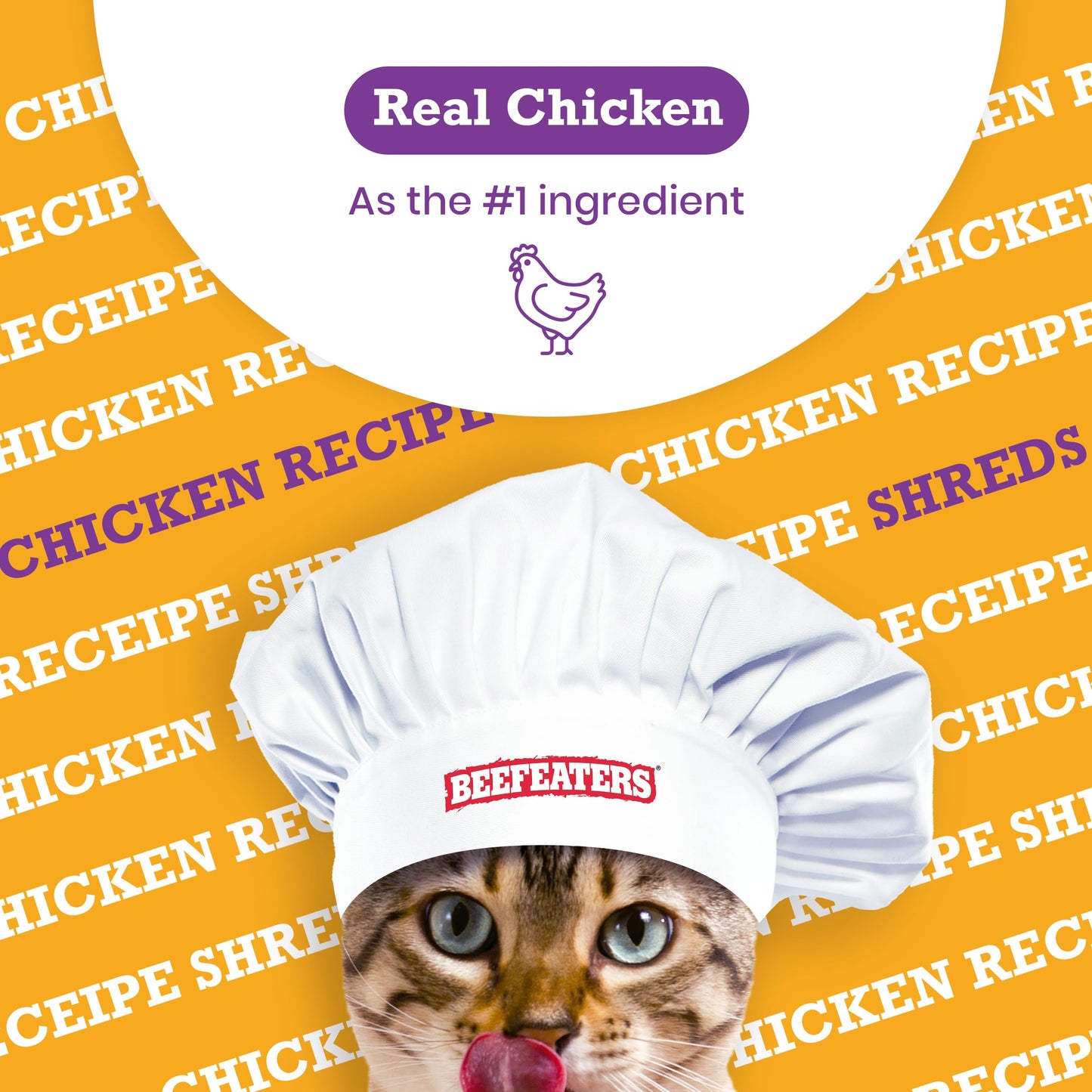 Beefeaters Cat Treat  Chicken Fillet Recipe Shreds 141oz Case of 12  Real Cat Food No SugarSoyCornWheat  High Protein  Taurine  Training Treats  No Artificial Additives