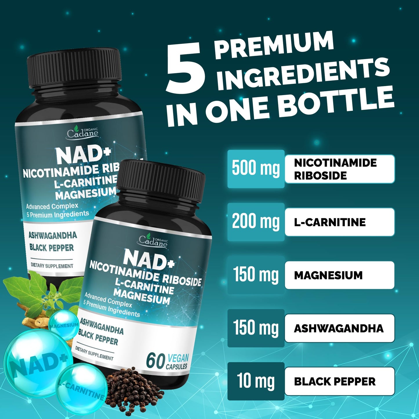Organic Cadane Nicotinamide Riboside Supplement with L-Carnitine, Magnesium Glycinate, Ashwagandha, Black Pepper | Cellular Health & Wellness Support | Vegan, Non-GMO - 60 Capsules - 30-Day Supply