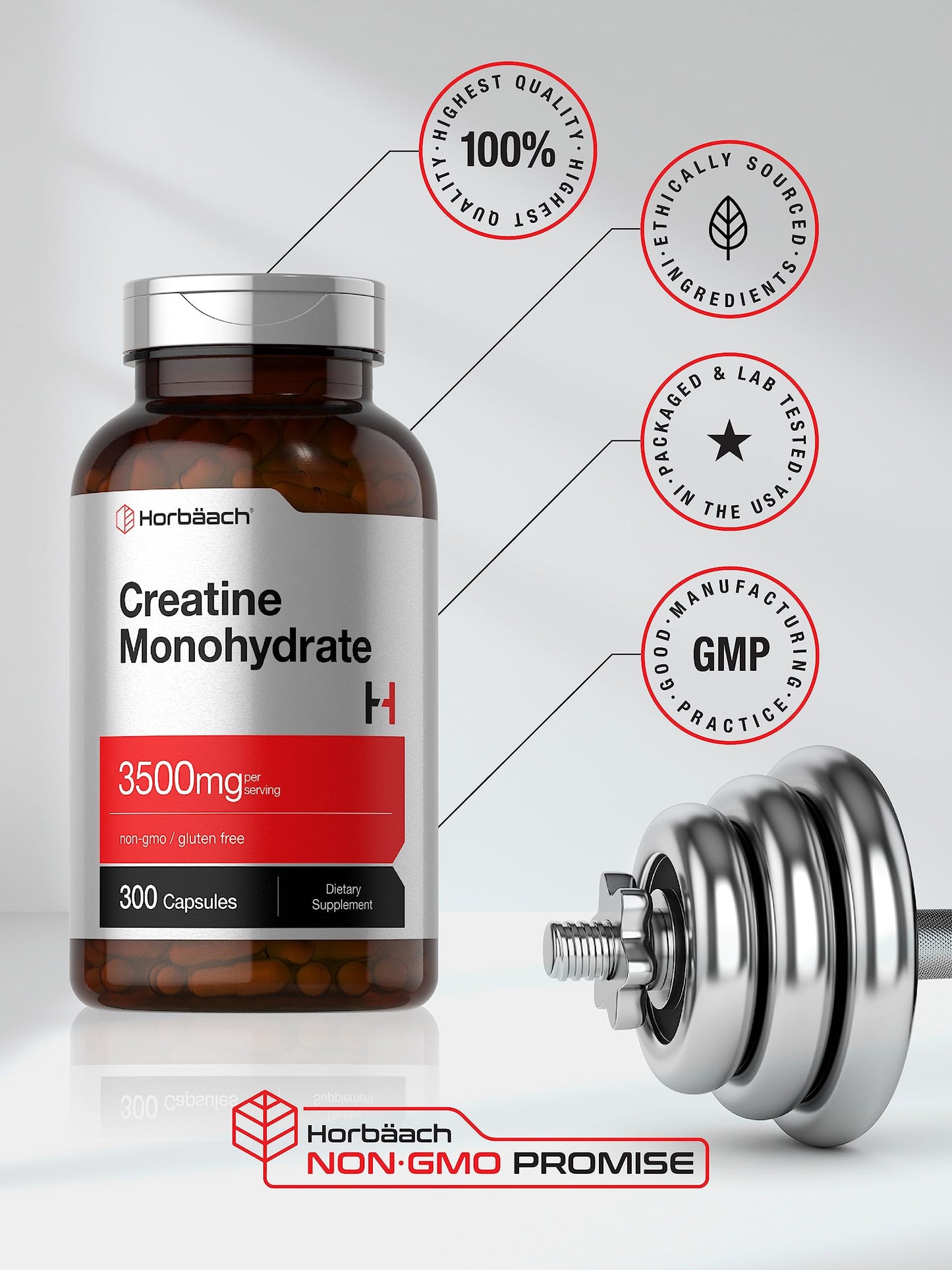 Horbäach Creatine Monohydrate Capsules | 3500mg | 300 Count | Non-GMO and Gluten Free Supplement
