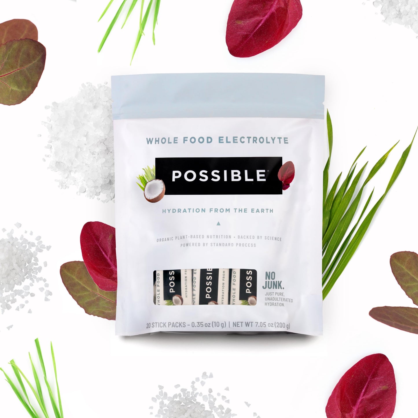 POSSIBLE Whole Food Electrolyte - Powder Drink Mix for Pre-Workout, Post-Workout & Everyday Hydration - Vegan, Plant-Based Wellness - Gluten-Free, USDA Organic - Clean Label - 20 Stick Packs