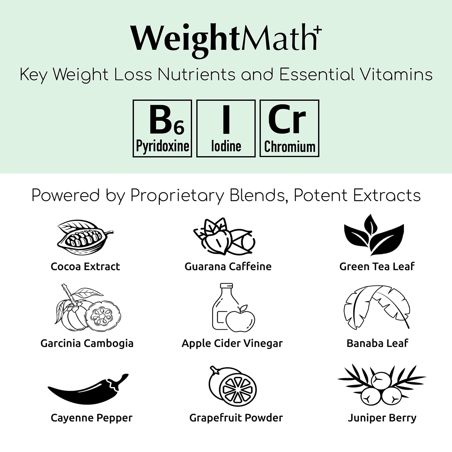 WeightMath Advanced Metabolism Booster & Thermogenic Formula, Flatter Stomach, Aids Belly Bloat, Digestive & Probiotic System, Essential Nutrients to Help Rapid Colon Cleanse