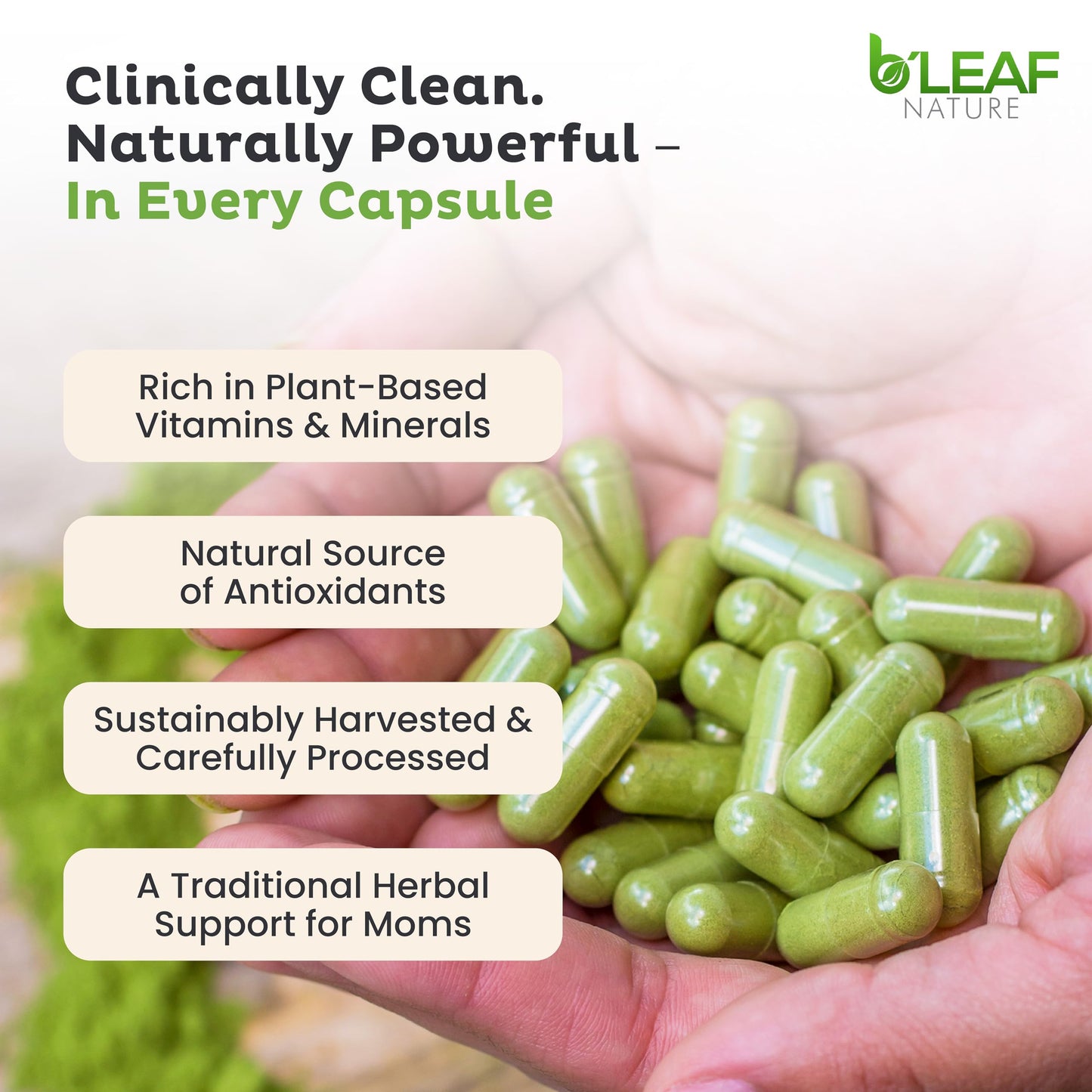 B'LEAF NATURE Organic Moringa Oleifera 180 Capsules, 1000mg - Organic Moringa Powder Capsules - Pure Moringa Leaf Capsules Energy Natural Wellness & Immune Support - Vegan, Non-GMO Moringa Supplement