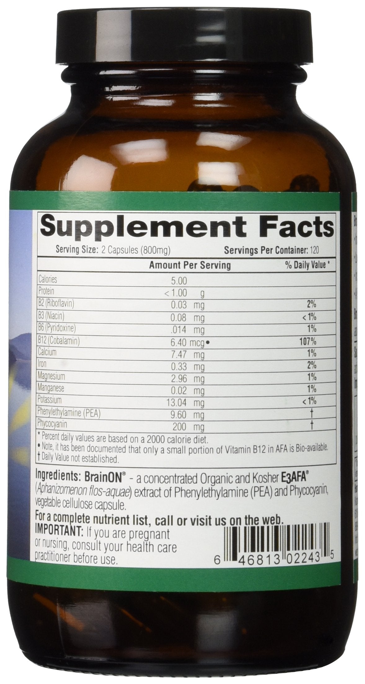 E3LIVE BrainON - Wild-Harvested AFA Extract for Mood Balance & Focus 240 Count