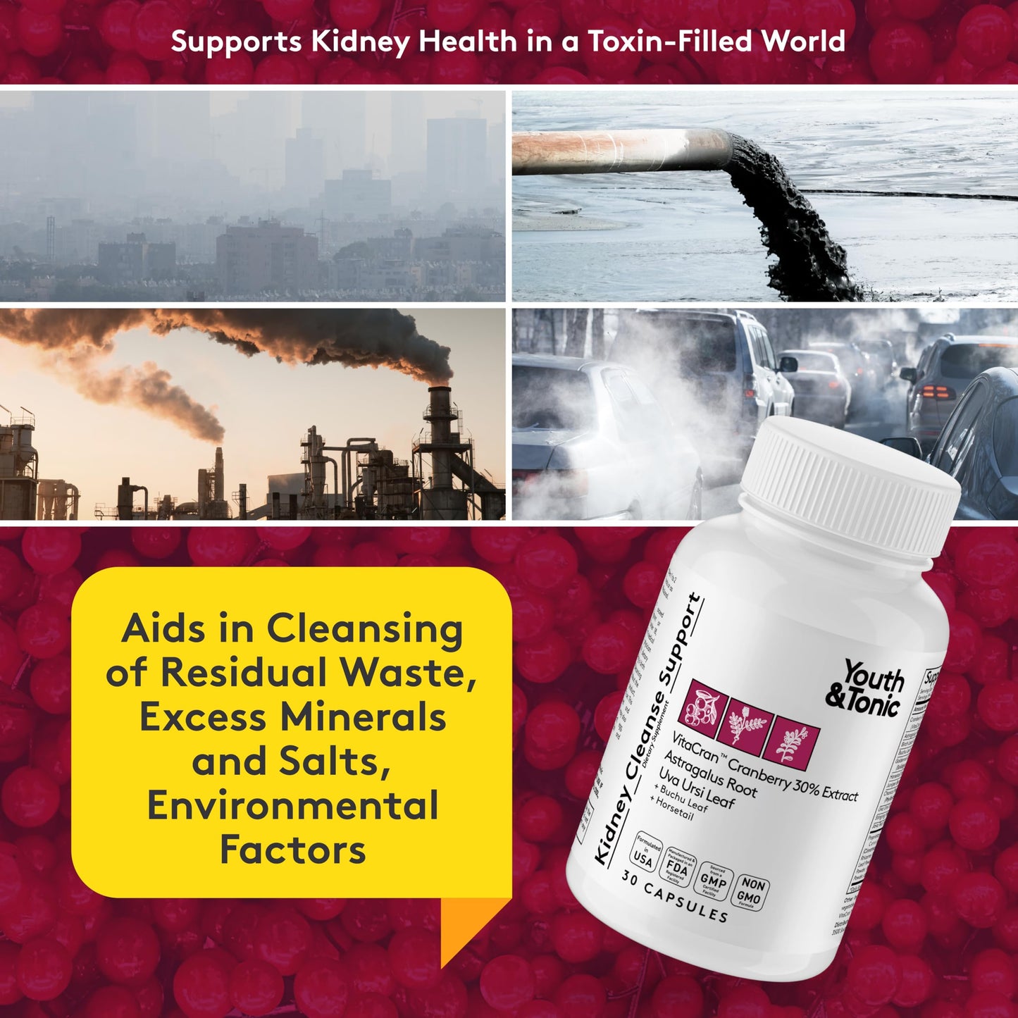 Youth & Tonic Kidney Cleanse & Detox Supplement with Cranberry Extract - Supports Urinary Tract Health, Bladder and Kidney Health - Vegan, Non-GMO - 30 Vegetarian Pills