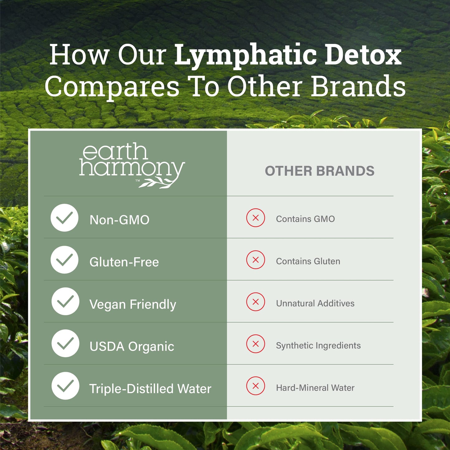 Earth Harmony Lymphatic Drainage Drops, Lymph Detox - Supplement with Soursop, Cat's Claw Bark, Astragalus, Wormwood, Lymph Node Detox, Lymphatic Support Cleanse (2 Oz)
