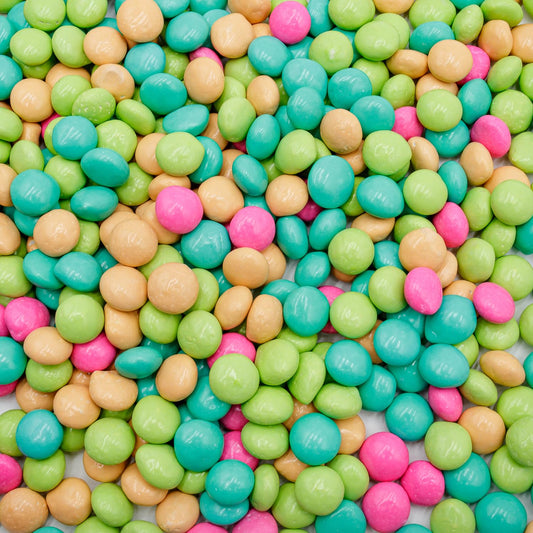 GOURMET CHOCOLATE MINTS Candy 16 oz  Bulk Bag Dark Chocolate Coated Peppermint Flavored Kosher