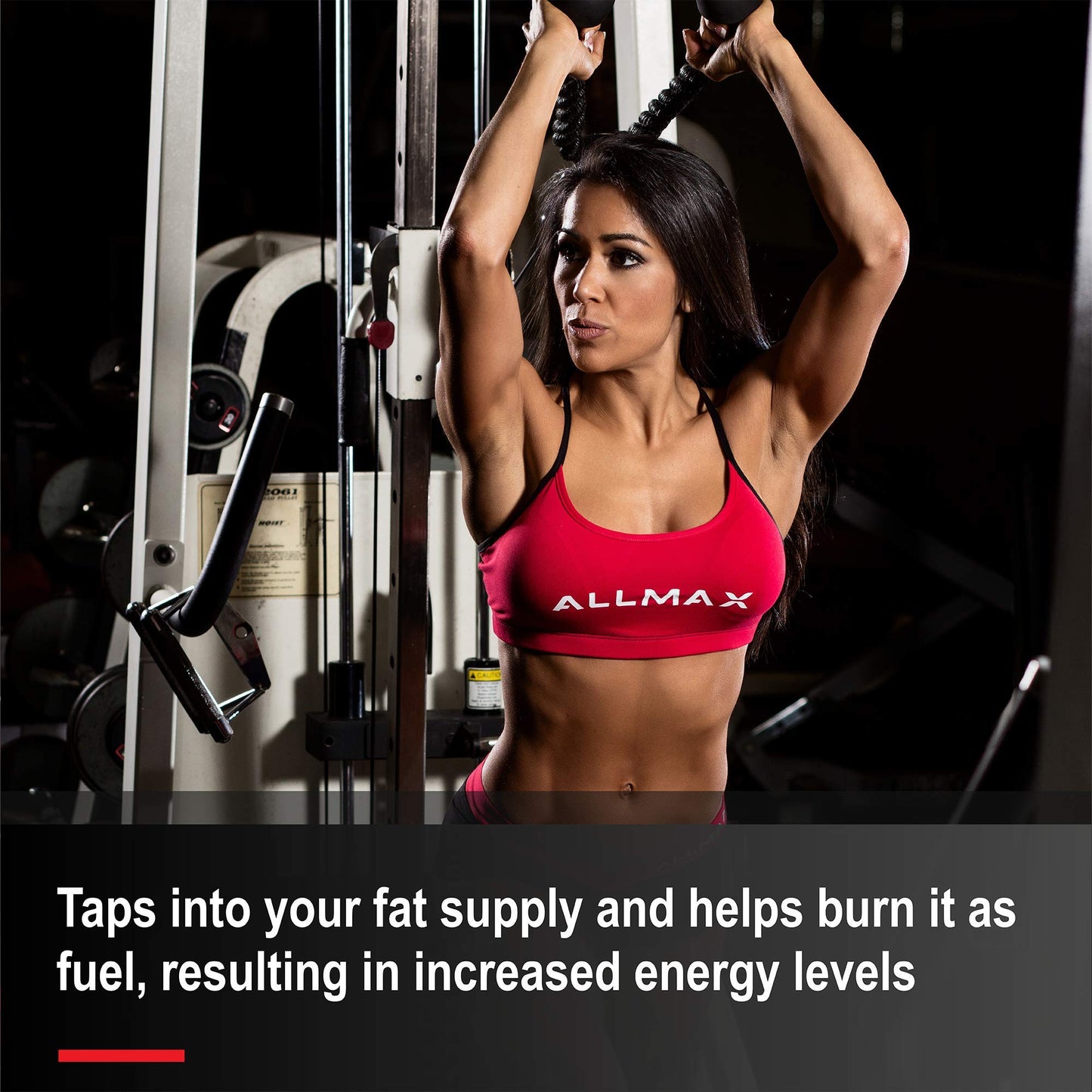 ALLMAX Nutrition Liquid L-Carnitine 1500, Blue Raspberry, 16 oz (473 ml)