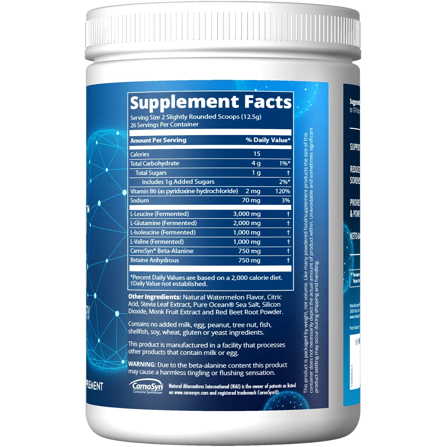 MRM Nutrition Reload BCAA+G Post-Workout Recovery | Watermelon Flavored | 9.6g Amino Acids | with CarnoSyn® | Muscle Recovery | Keto Friendly | 26 Servings