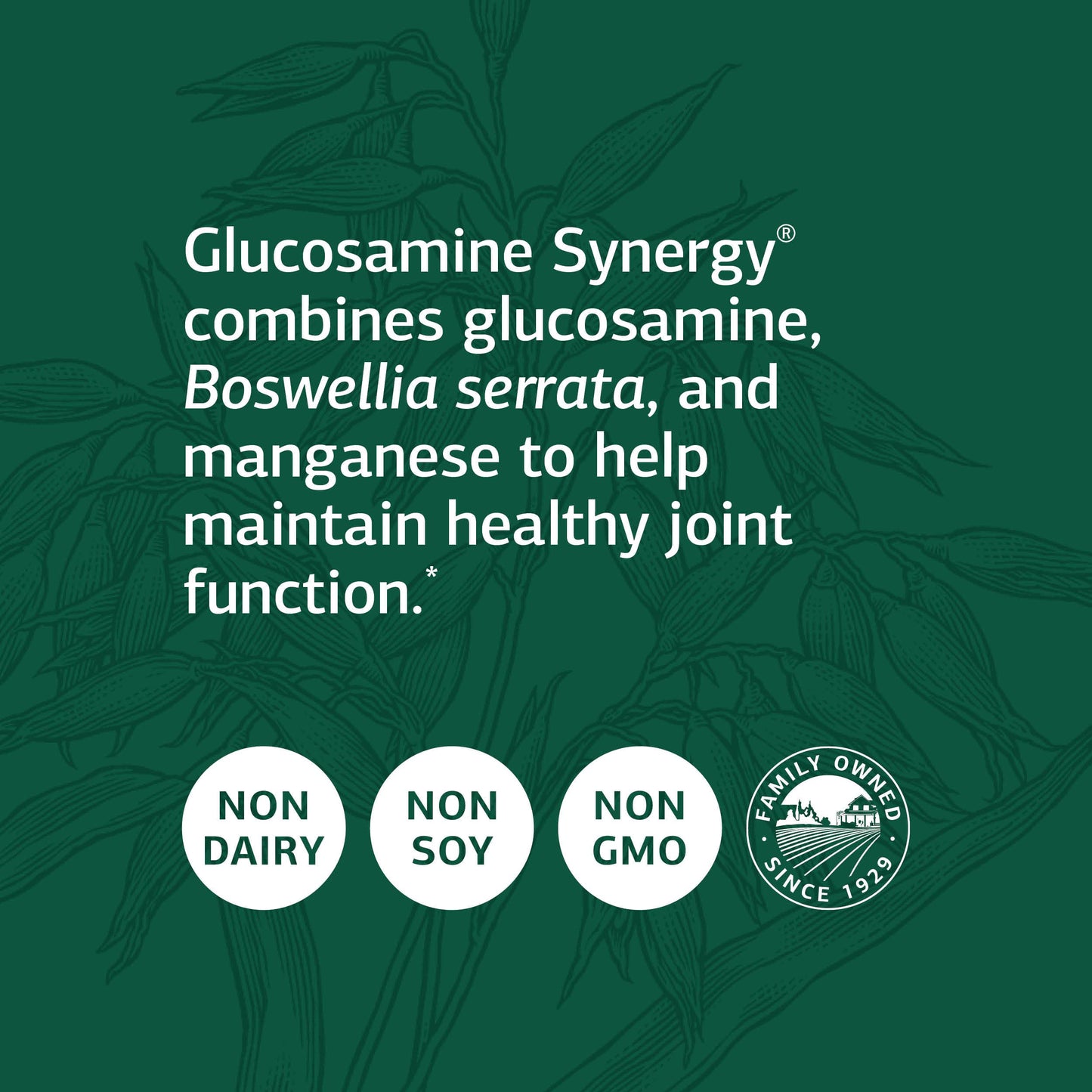 Standard Process Inc. Glucosamine Synergy - Whole Food RNA Supplement and Joint Support with Cyanocobalamin, Cholecalciferol, Shiitake, Manganese, Rice Bran, Organic Carrots - 90 Capsules