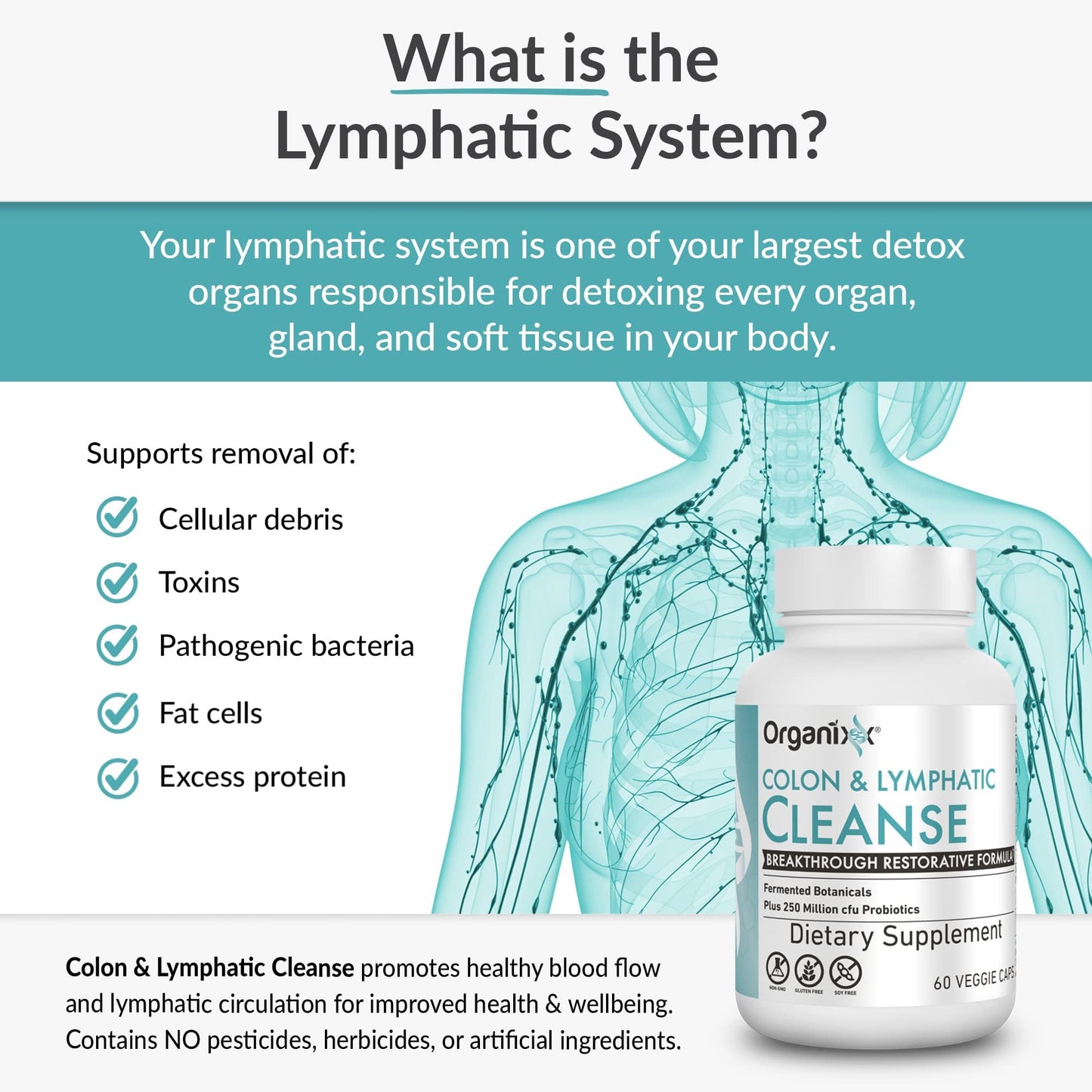 Organixx USDA Organic Lymphatic & Colon Cleanse Supplement, 250 Million CFU Probiotics for Gut Health, Digestive & Lymphatic Support, Gluten Free, Non GMO, 60 Vegetarian Capsules