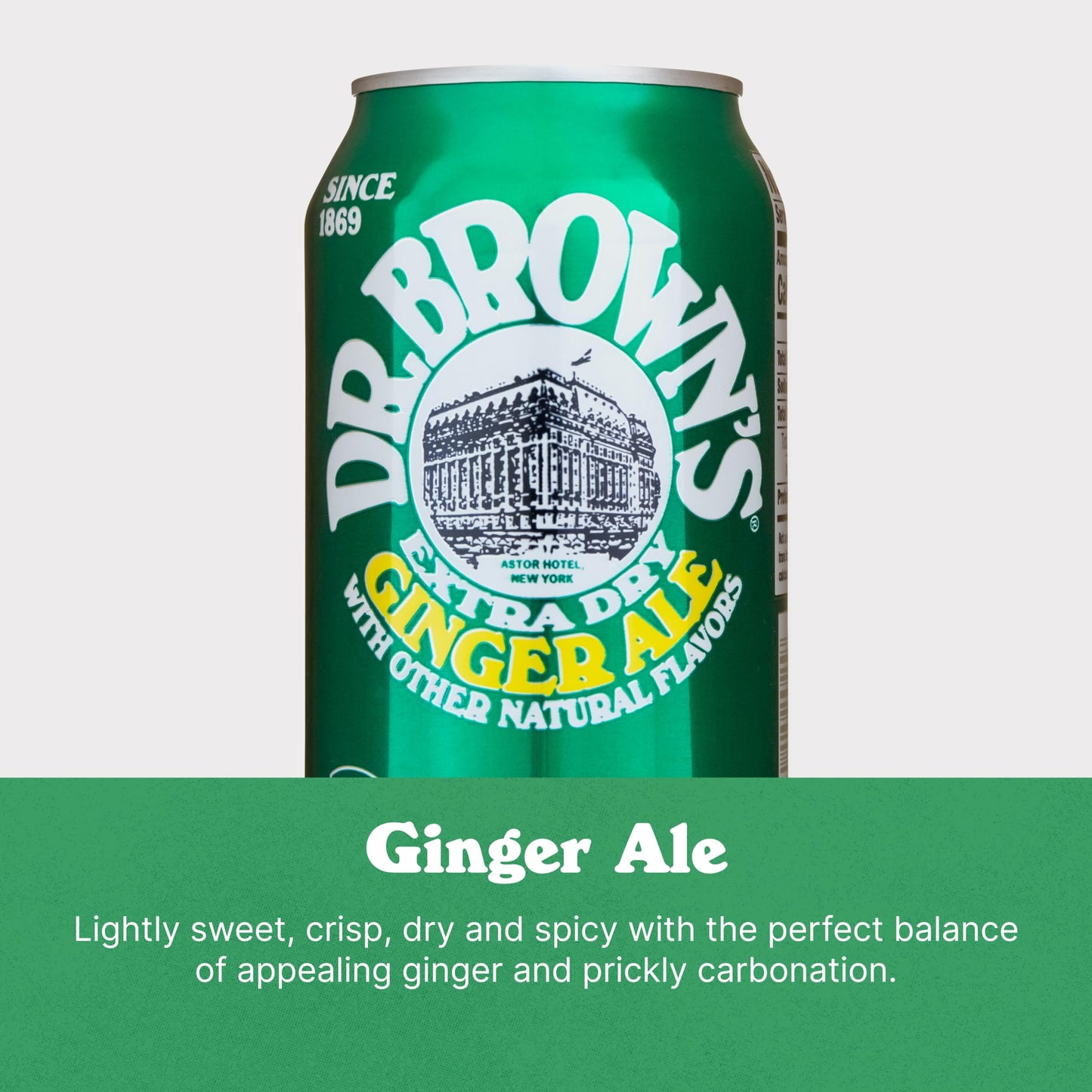 Dr Browns Ginger Ale Soda  A New York Original  24 Cans of Refreshing Kosher Gourmet Soda Pop  Ginger Ale Soda  24 x 12 oz Cans