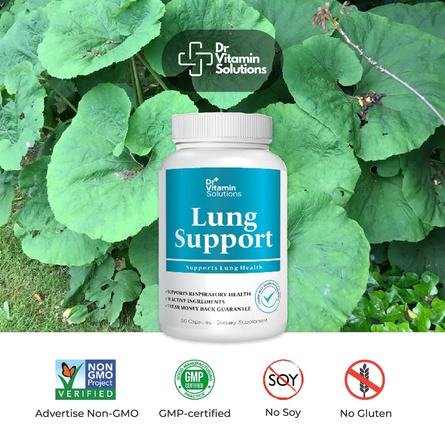 Lung Revive: Advanced Respiratory Support with Butterbur, Quercetin, & Vitamin C - Enhanced Breathing & Lung Detox Formula, Doctor-Developed, 30 Caps (1-Month Supply) (1 Bottle, 30 Capsules)