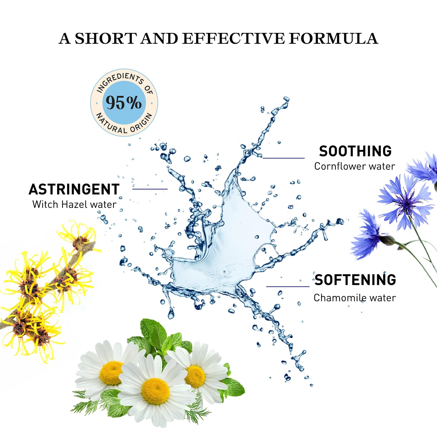 Embryolisse Micellar Lotion Makeup Remover for Sensitive Skin, Gentle Cleansing and Toning Floral Water with Chamomile, Cornflower & Witch Hazel, No-Rinse, 8.45 fl oz