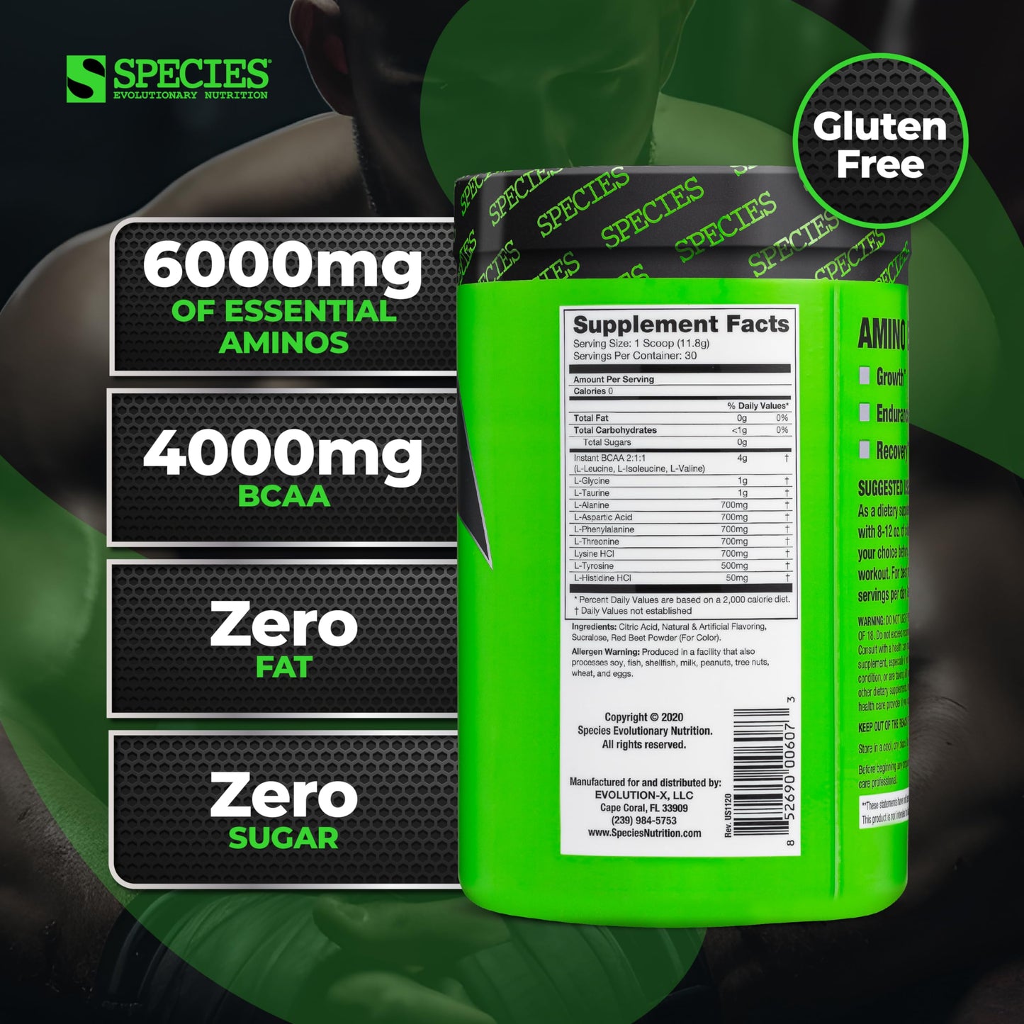 Species Nutrition Amino Evolved EAA & BCAA Powder, Fermented Branched Chain Amino Acids, Muscle Recovery & Endurance, Pre & Post Workout Supplement (Strawberry Watermelon, 30 Servings)