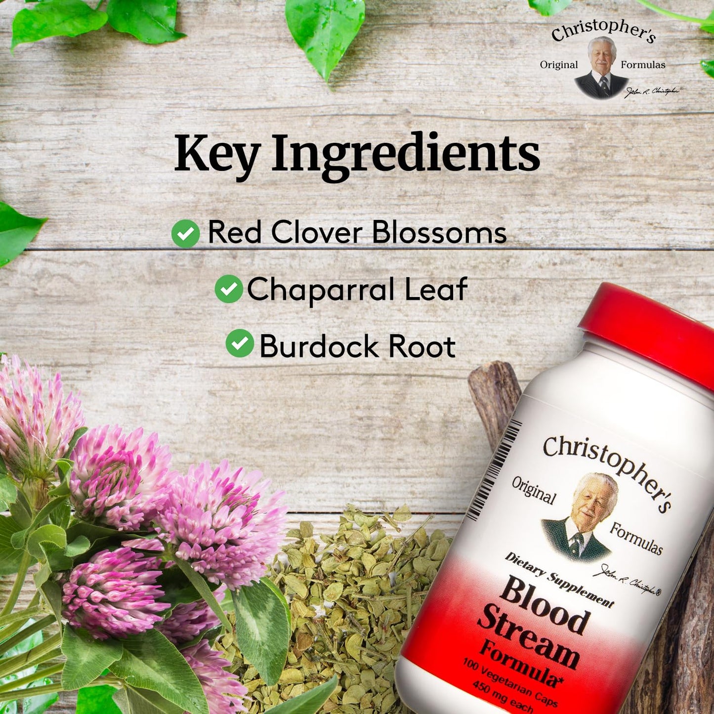 Christopher's Original Formulas Blood Stream Formula - Blood Circulation Supplements - Supports Vein Elasticity, Clean & Pure Bloodstream - Pack of 2