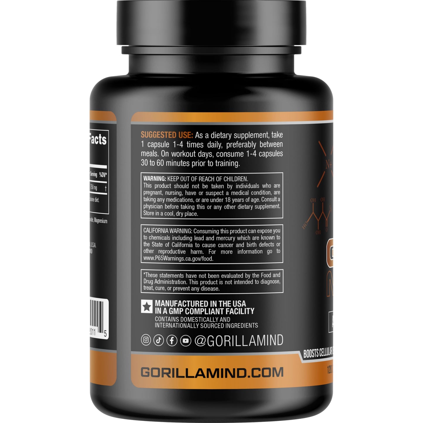 Gorilla Mind AR Carnitine 750mg Capsules Androgen Receptor Upregulator,Boosts Cellular Energy, Upregulates Androgen Receptor Density,Shuttles Fatty Acids (120 Capsules)