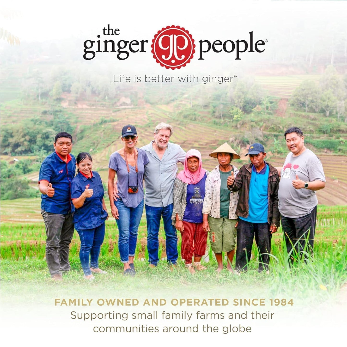 Fiji Ginger Juice by The Ginger People 8 oz Glass Bottle Pack of 1