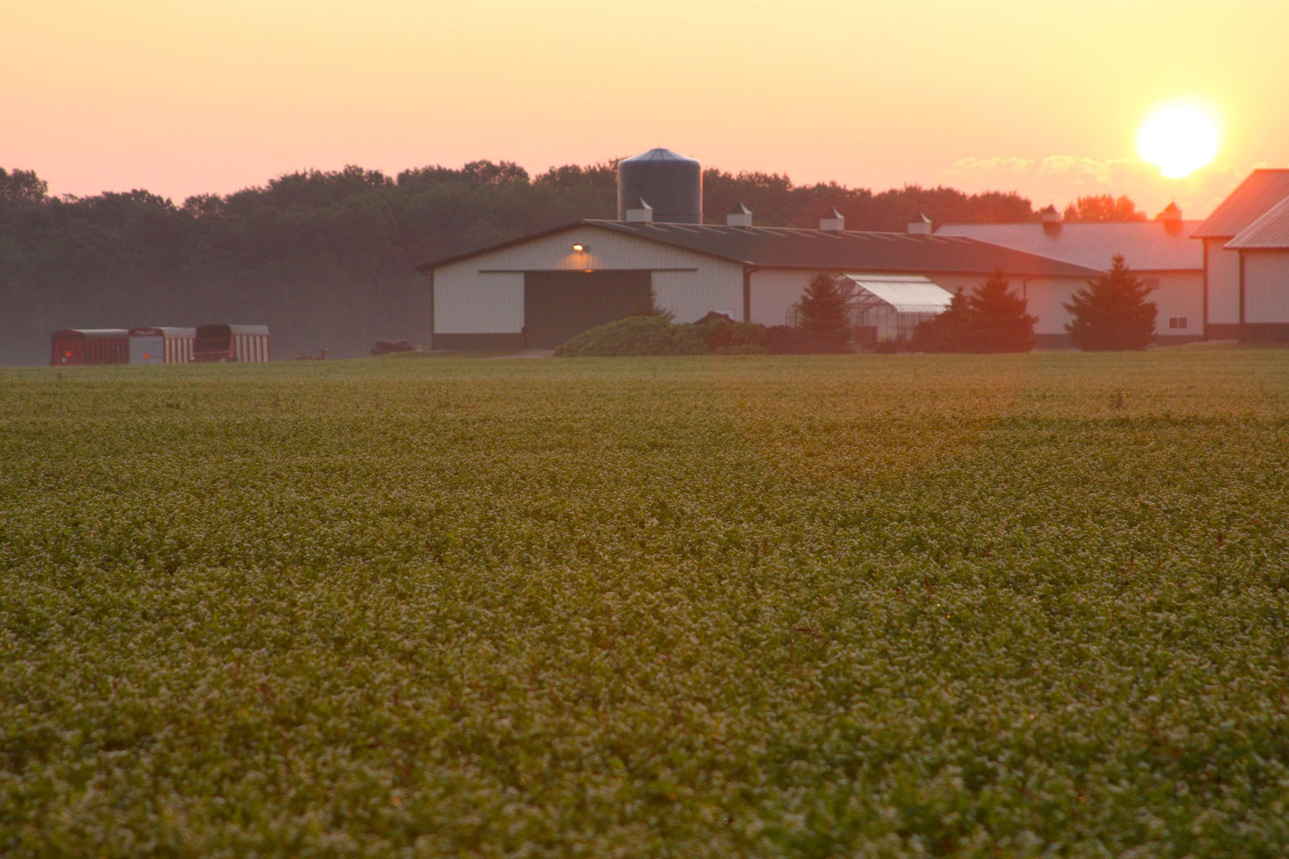 Standard Process Inc. Whey Pro Complete - Whole Food Immune Support with Colostrum, Chicory Root and Whey Protein Powder - 21 Ounce, 25 Servings