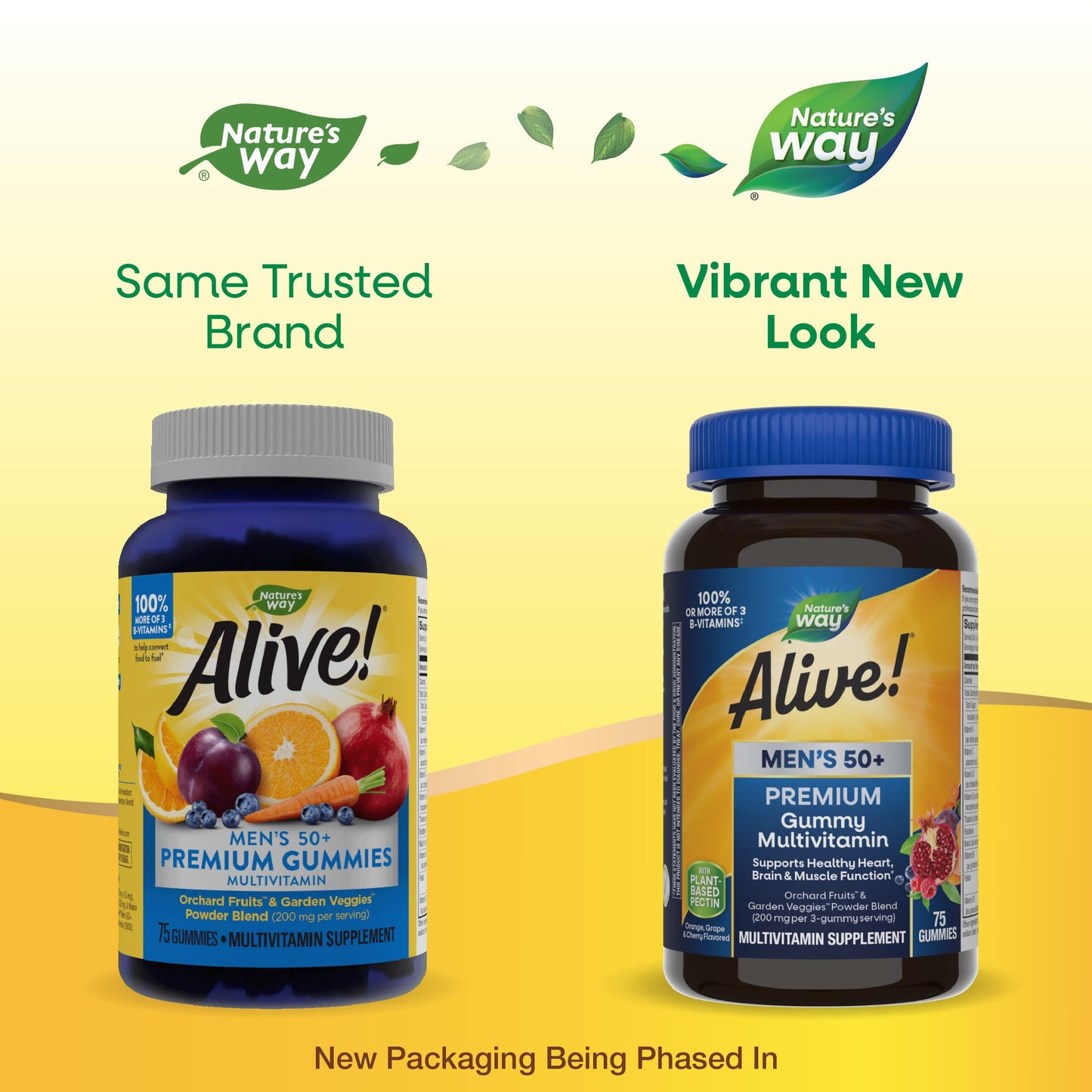 Nature’s Way Alive! Men’s 50+ Premium Gummy Multivitamin, Supports Healthy Heart, Brain & Muscle Function*, B-Vitamins, Vegetarian, Grape, Orange and Cherry Flavored, 75 Gummies (Packaging May Vary)