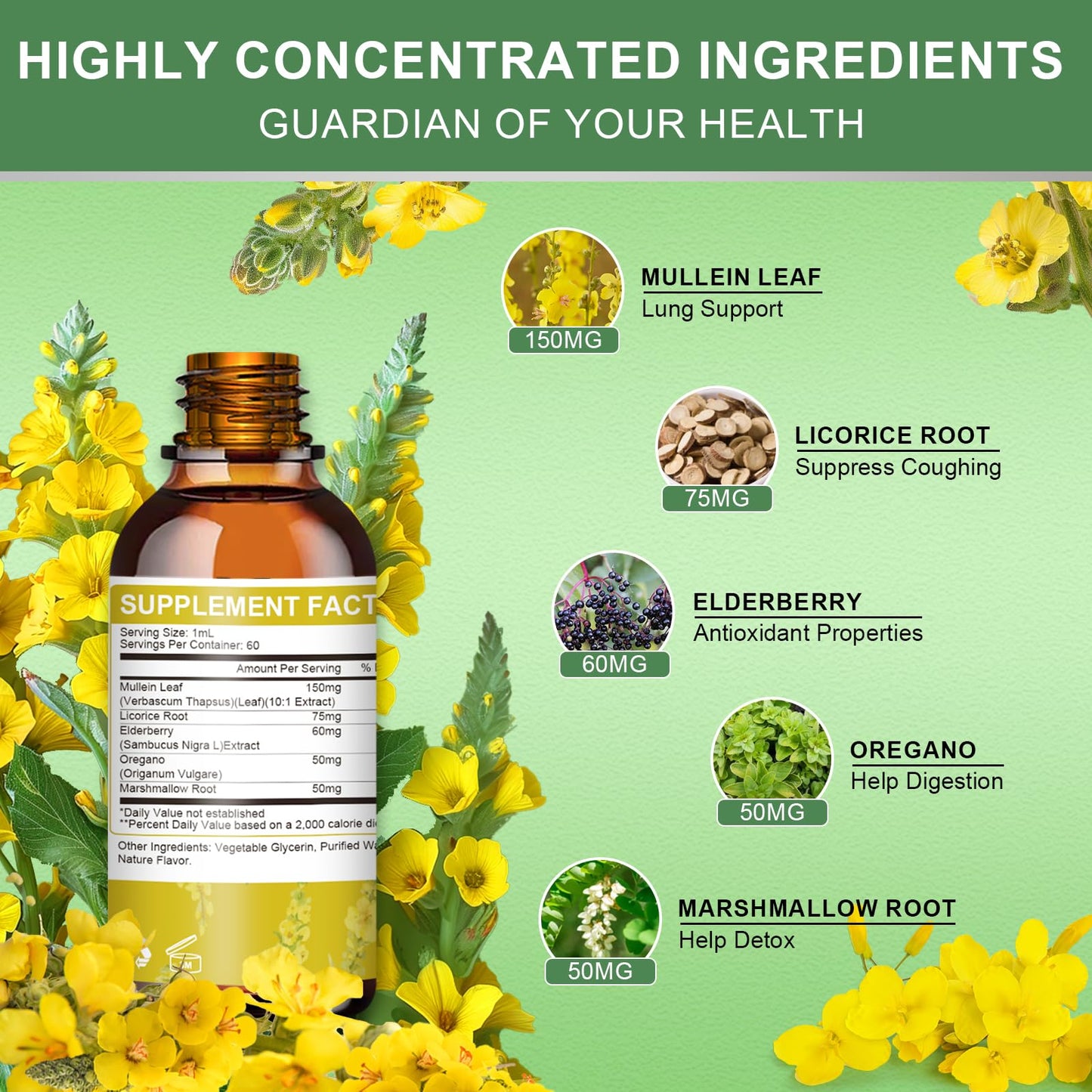 Mulittea Mullein Drops for Lungs-Herbal Extract Liquid-Mullein Leaf-Non-GMO, Vegetarian-Lung Cleanse-Respiratory Health Support-4 Fl Oz