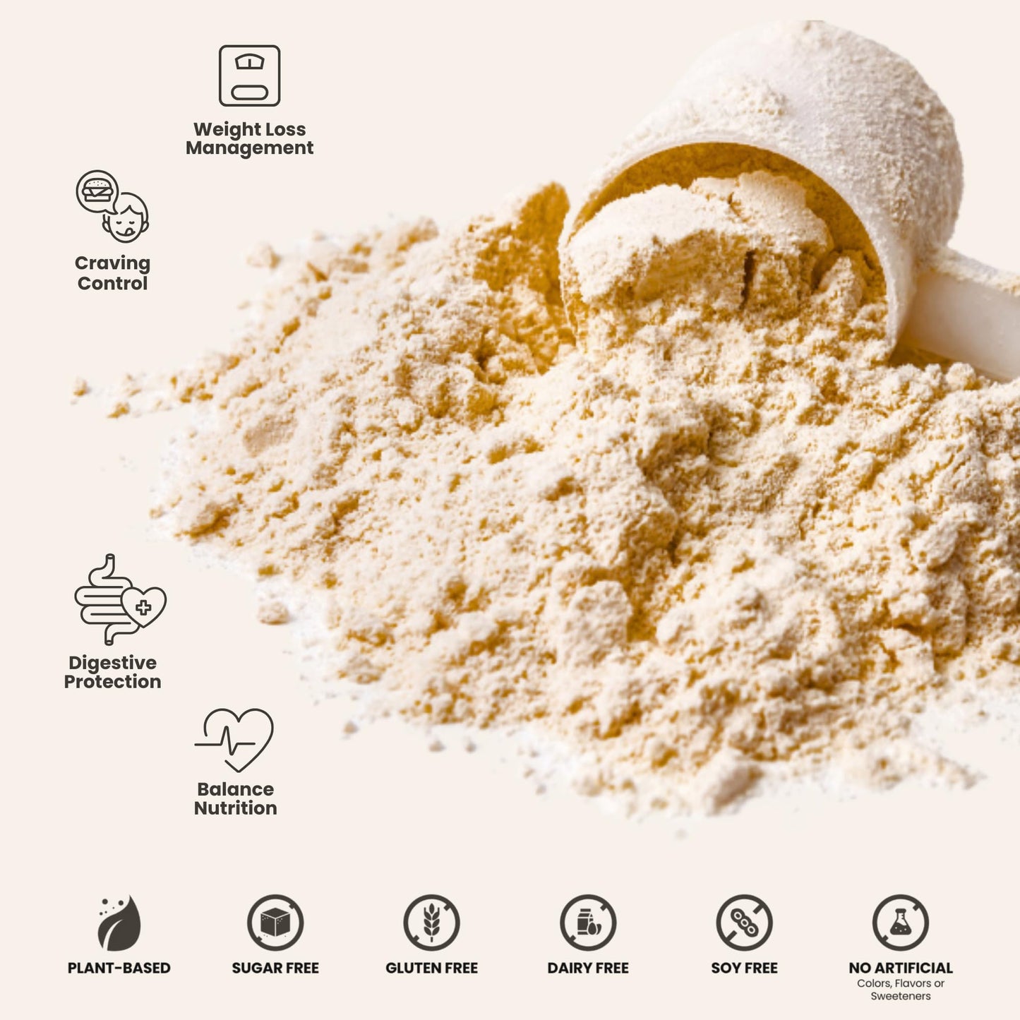 310 Nutrition Meal Replacement Shake - Fiber-Rich Vegan Superfood Blend - Low Carb, Keto & Paleo Friendly, 0 Sugar, Gluten-Free, 26 Essential Vitamins & Minerals - Cookies N' Cream, 14 Servings