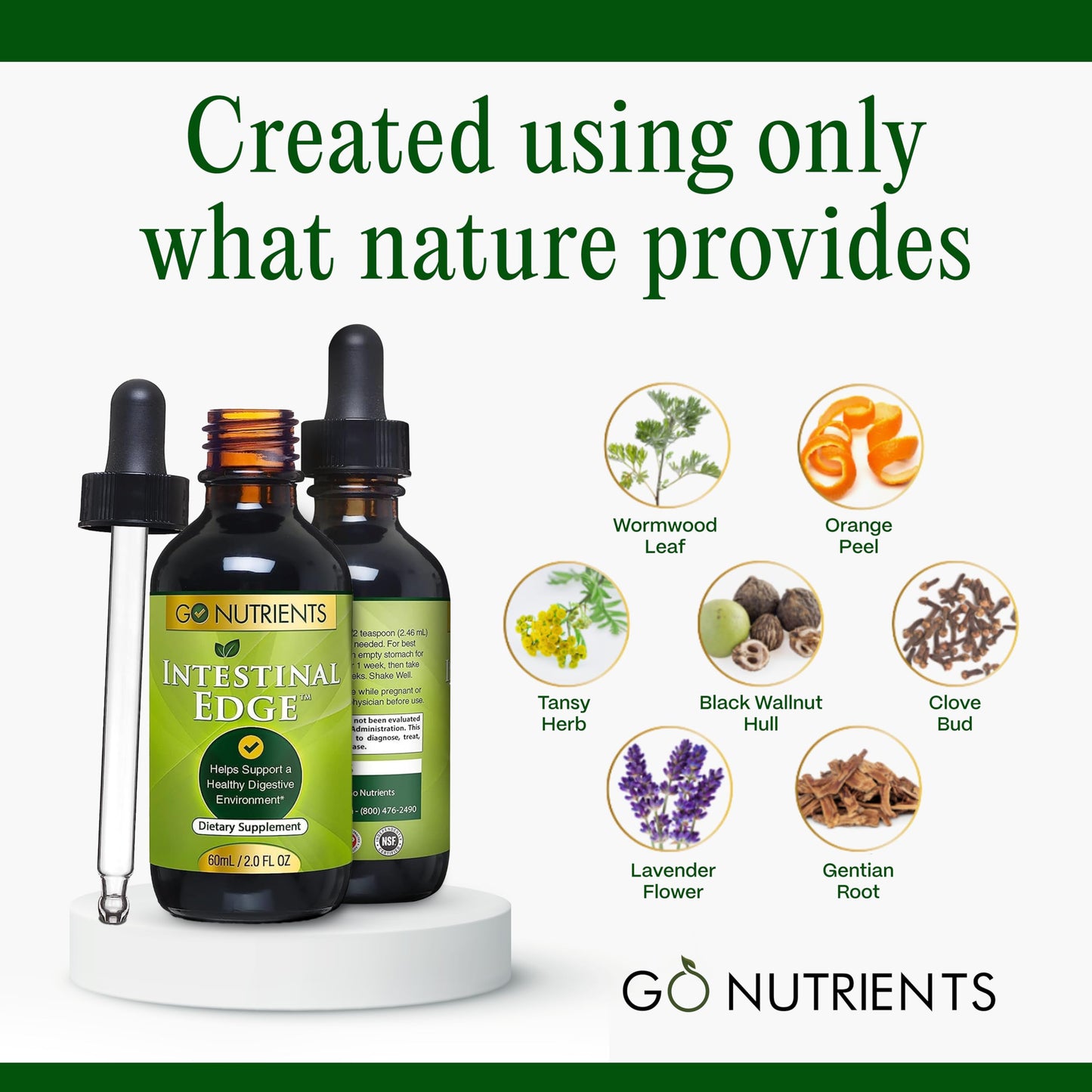 Go Nutrients Intestinal Edge - Gut Cleanse for Humans with Wormwood, Black Walnut, Clove - Detox Liquid for Women, Men, Children & Adults - Organic Herbal Support for Digestion & Wellness - 2oz