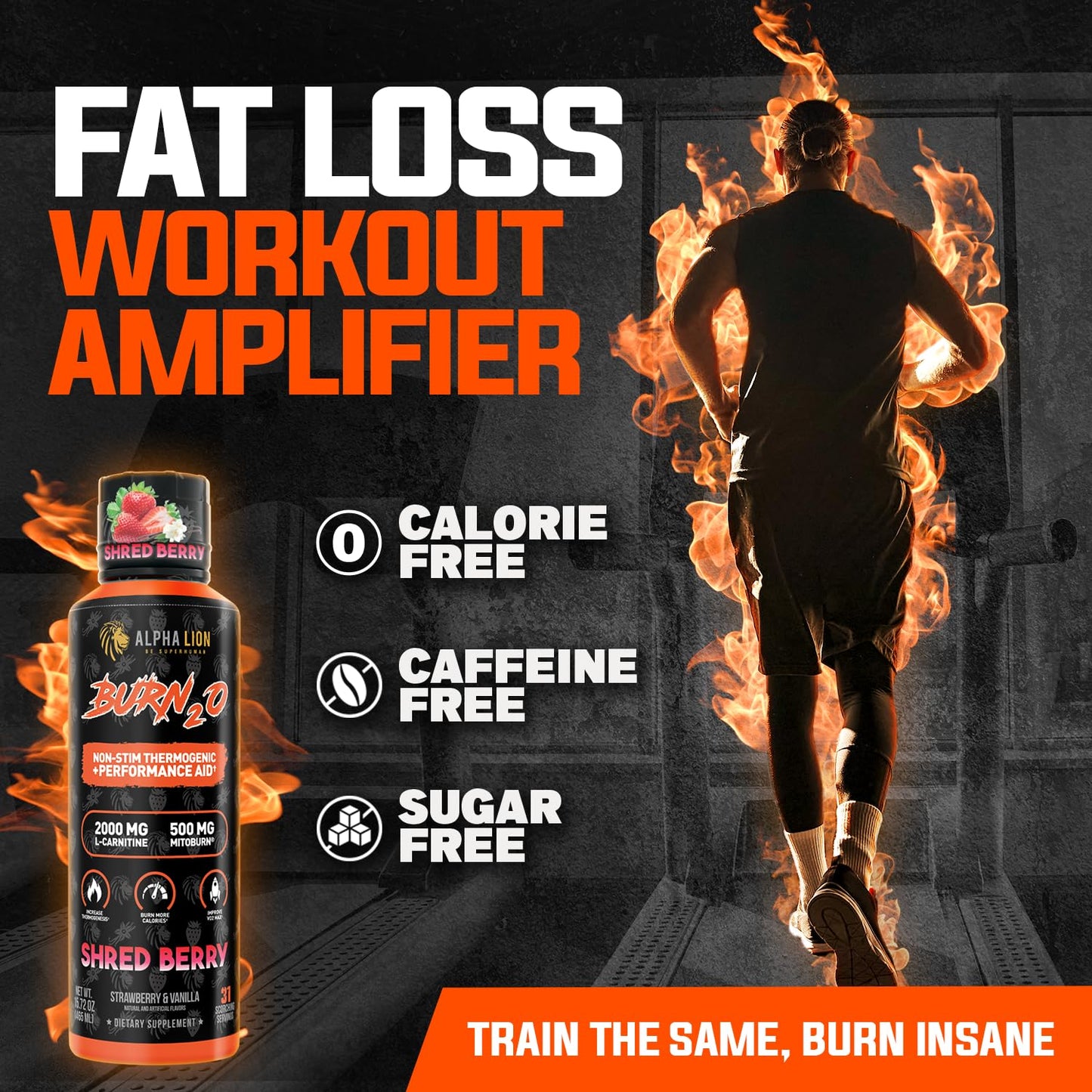 ALPHA LION Burn 20 L-Carnitine Liquid 2000mg, Premium Liquid Fat Burner & Pre-Workout Supplement for Men & Women - Natural Energy & Metabolism Booster for Weight Loss - ShredBerry