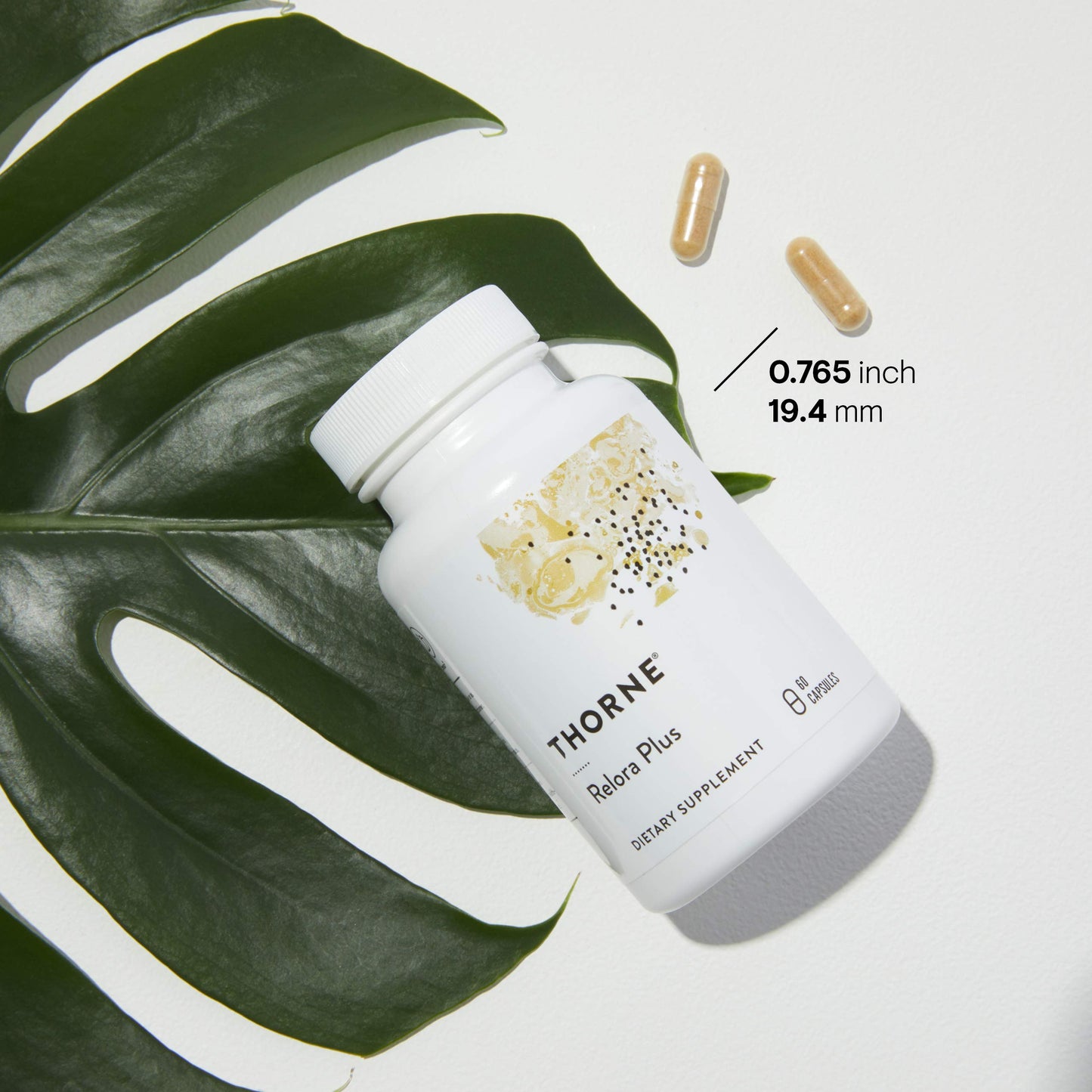 THORNE Craving and Stress Support (Formerly Relora Plus) - 5-MTHF, B Vitamins, Folate, and Plant Extracts to Support Sleep, Cravings, and Stress* - 60 Capsules - 30 Servings