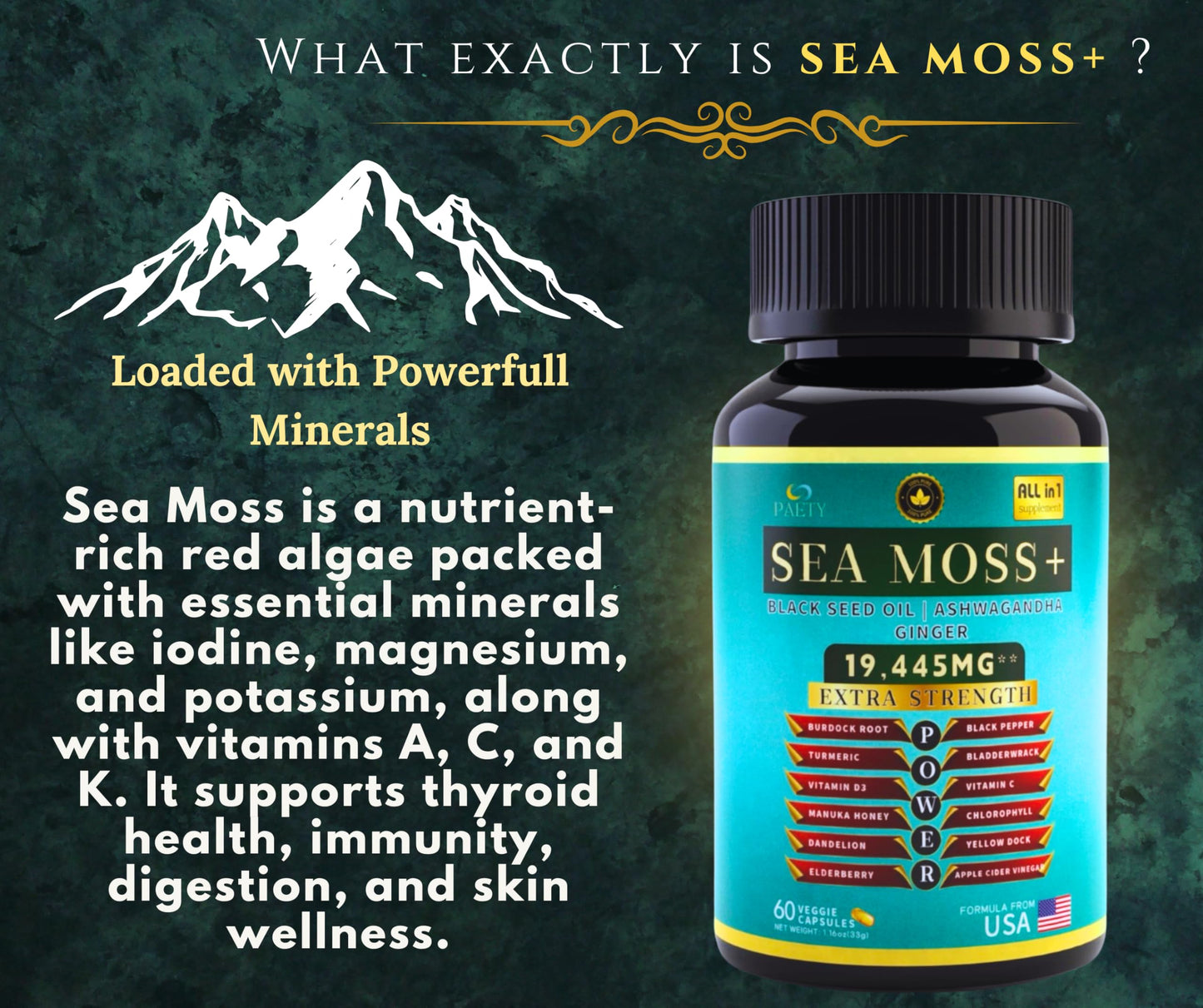 PAETY Premium Sea Moss 7000mg with Black Seed Oil, Ashwagandha, Turmeric, Elderberry, Bladderwrack, Ginger, Manuka, Vitamins C & D3, ACV