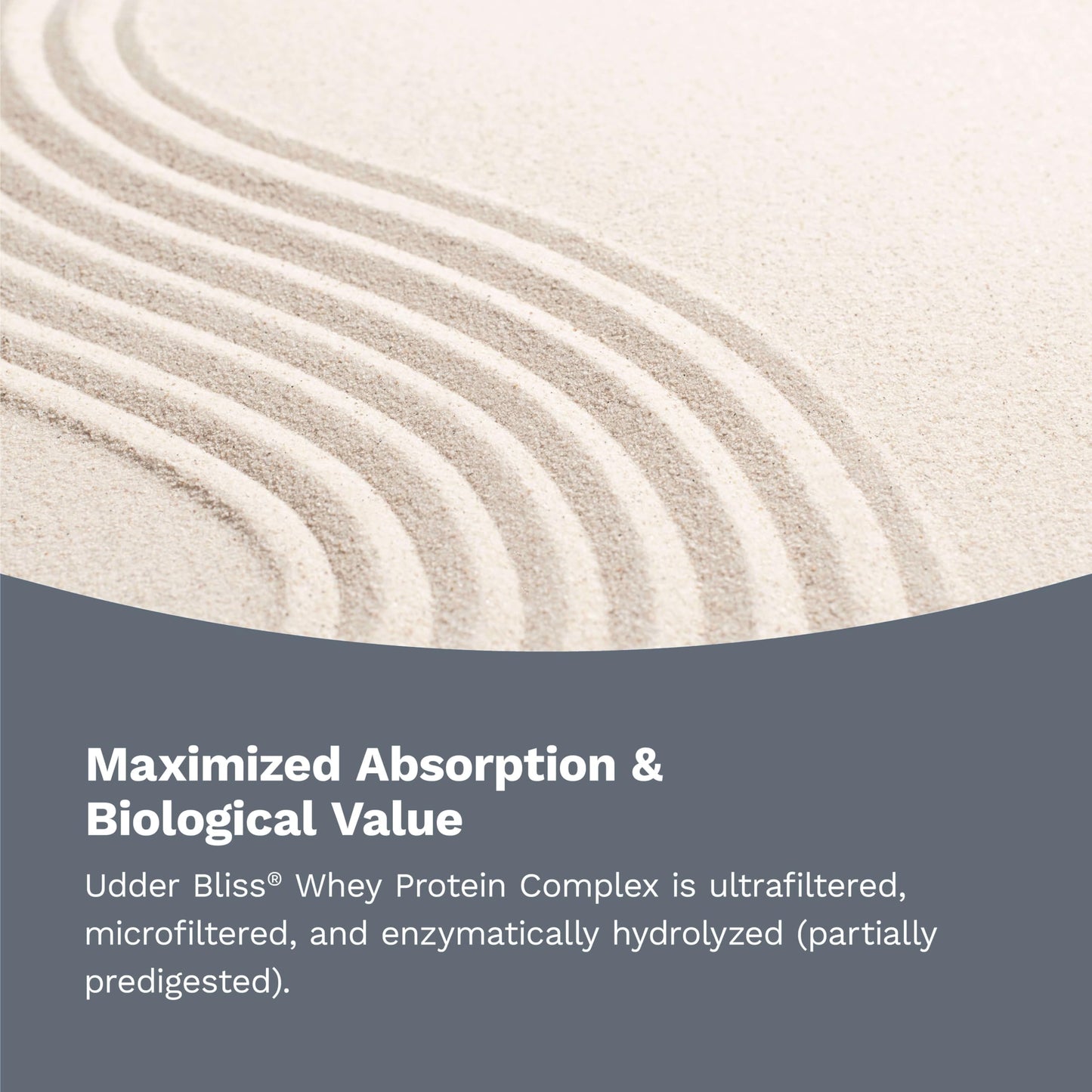 Hi-Health Udder Bliss Whey Protein Complex Powder, Blend of Bioavailable Whey Protein Concentrate and Isolate with Added Glutamine, Vanilla (2 Pounds)