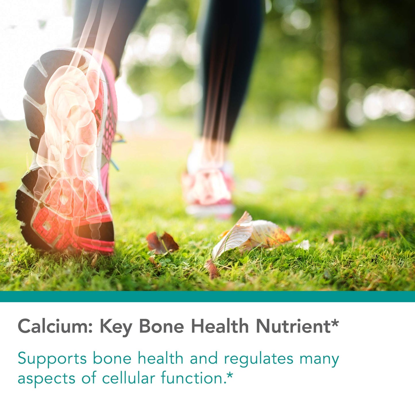 Nutricology Calcium Citrate - Pure Calcium, Bone Strength, Well-Absorbed, Without Vitamin D, Calcium Only, 150mg Supplement, Vegetarian Capsules - 180 Count