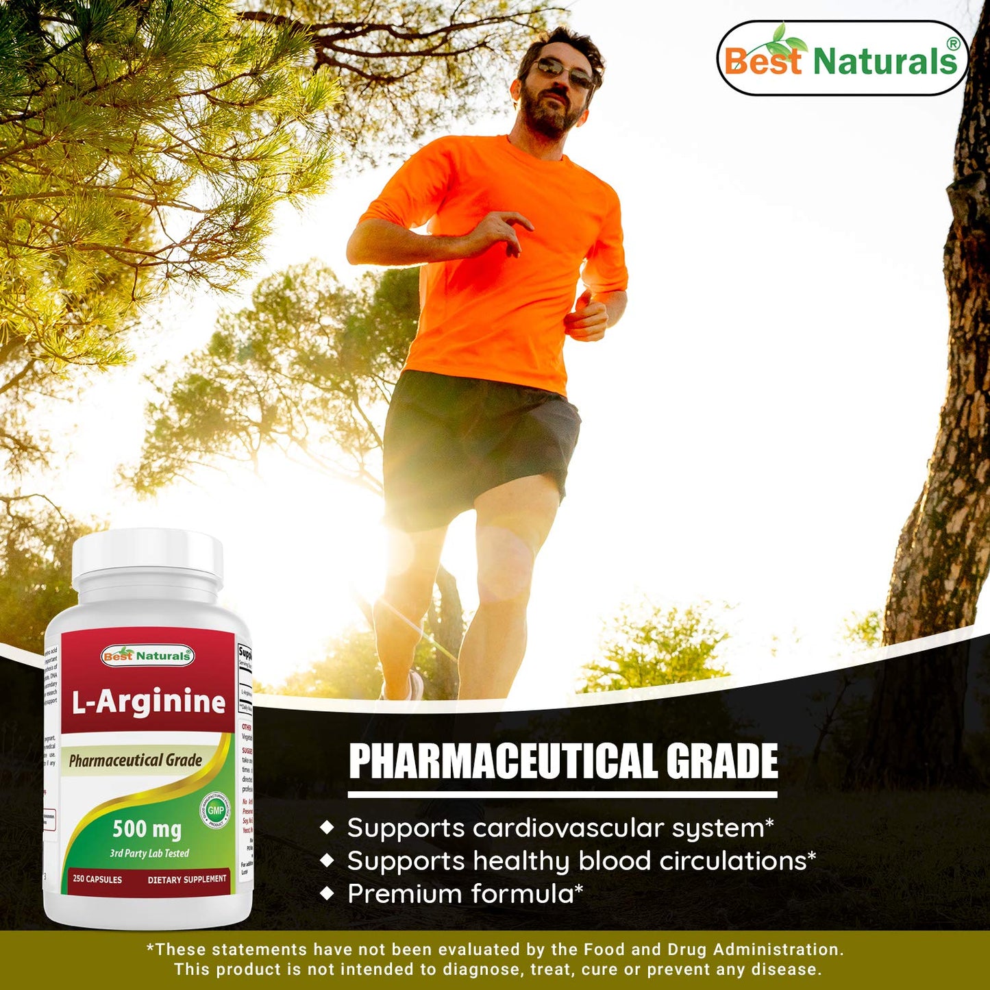 Best Naturals L-Arginine 500mg 250 Capsules (250 Count (Pack of 2))