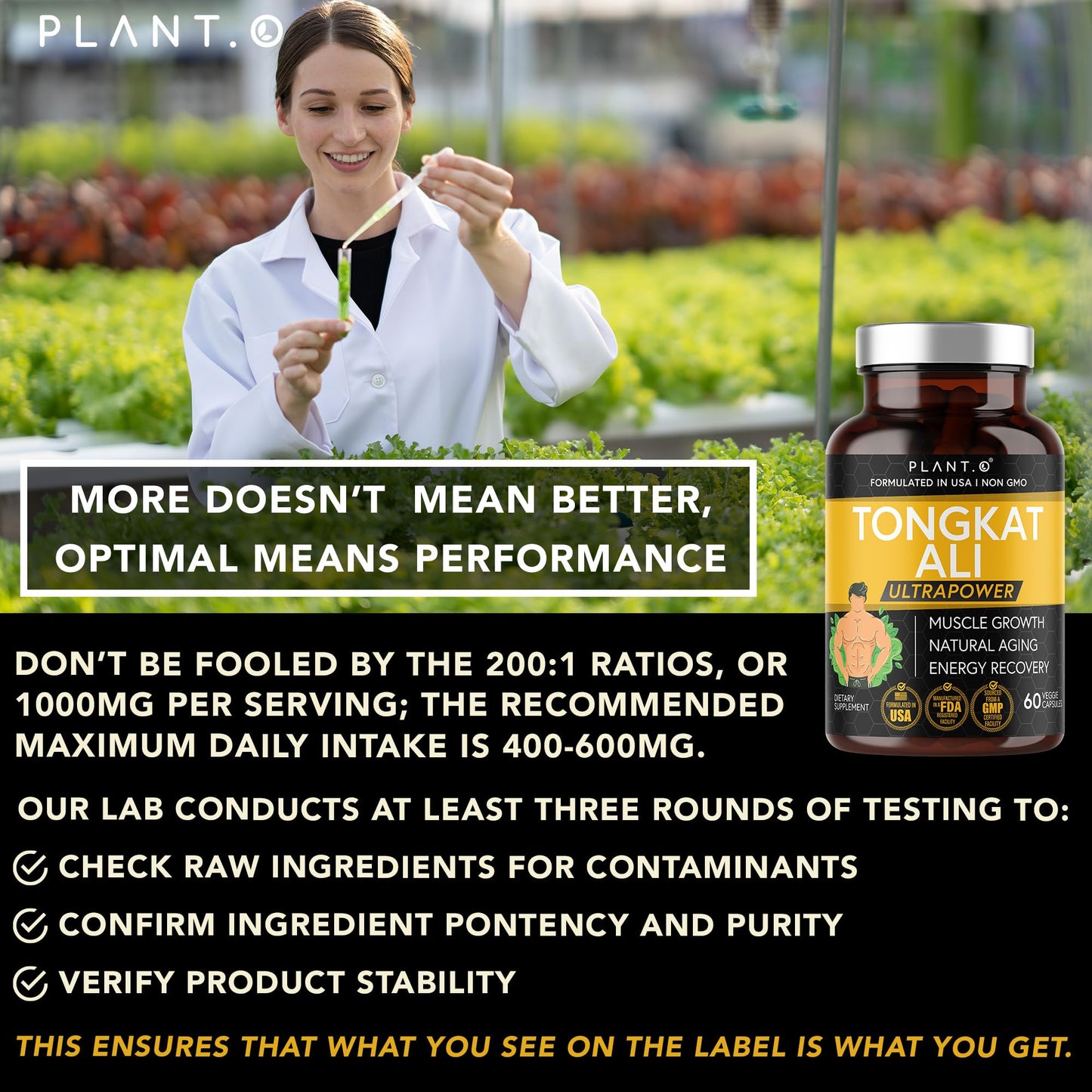 PLANT.O NUTRITION Tongkat Ali Ultrapower - Longjack Extract Supplement for Stamina, Strength, Endurance, Lean Muscle Growth & Recovery - Men's Pre Workout Supplement 60 Capsules Non GMO