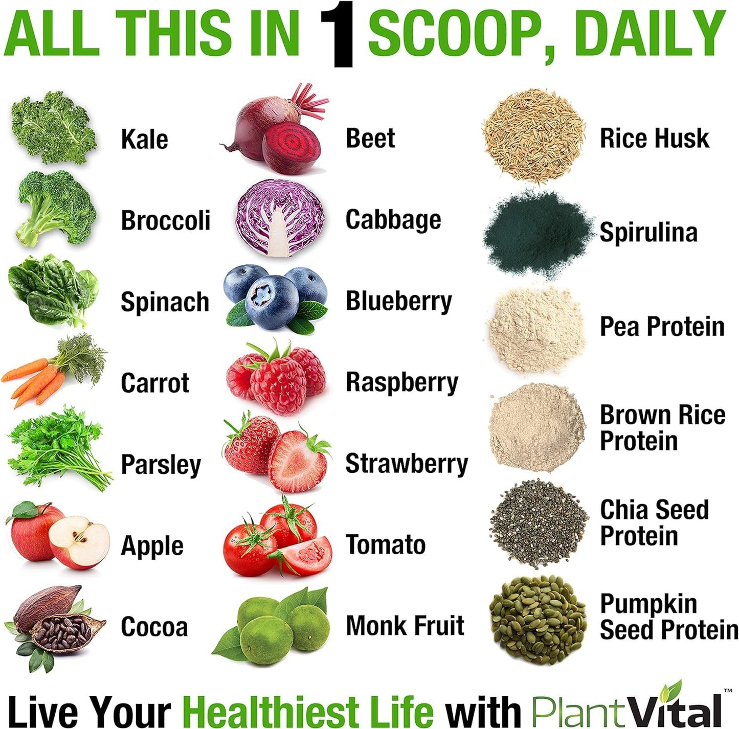 PlantVital Vegan Protein Powder Plant Based, Organic Protein Powder Chocolate, 24g/0g sugar, 12 Superfoods, Veggies, Probiotics, Raw Cocoa, Kale, Beets, Spirulina, Pea, Gluten-Free, Keto-Friendly,16oz