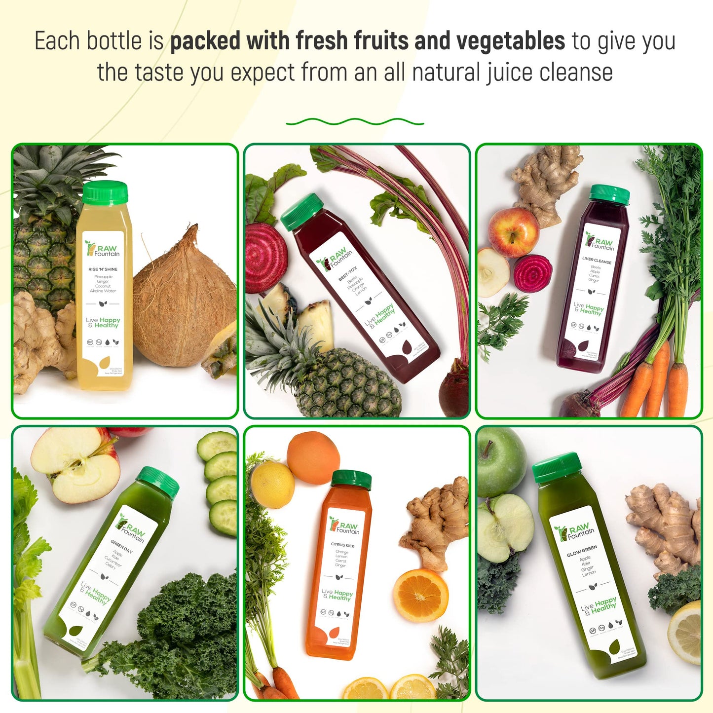 3 Day Juice Cleanse by Raw Fountain, All Natural Raw Detox Cleanse, Juicing for Body Rest, Cold Pressed Juice Fast, Great Way to Jumpstart a Healthy Diet, 18 Bottles 12oz, 3 Ginger Shots