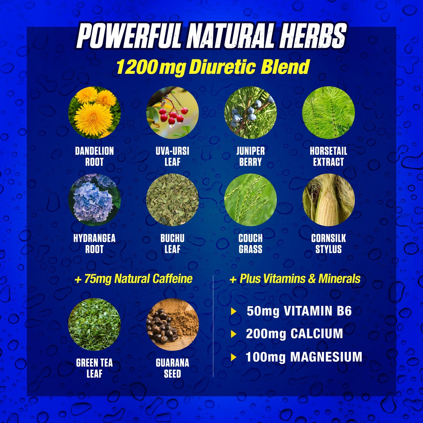 Maximum Human Performance Xpel Maximum Strength Diuretic Water Pills, for Water Retention Relief, Weight loss Support, with Vitamin B-6 Potassium Dandelion Root, 80 Capsules