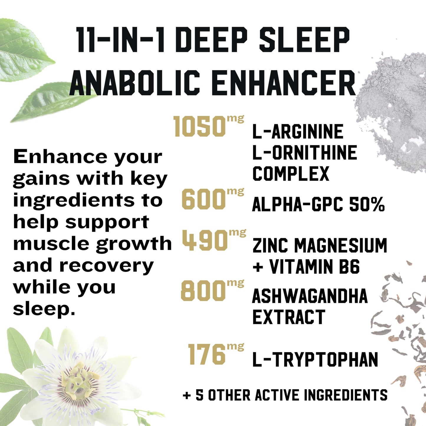 IRON KINGDOM: Sleep + Build