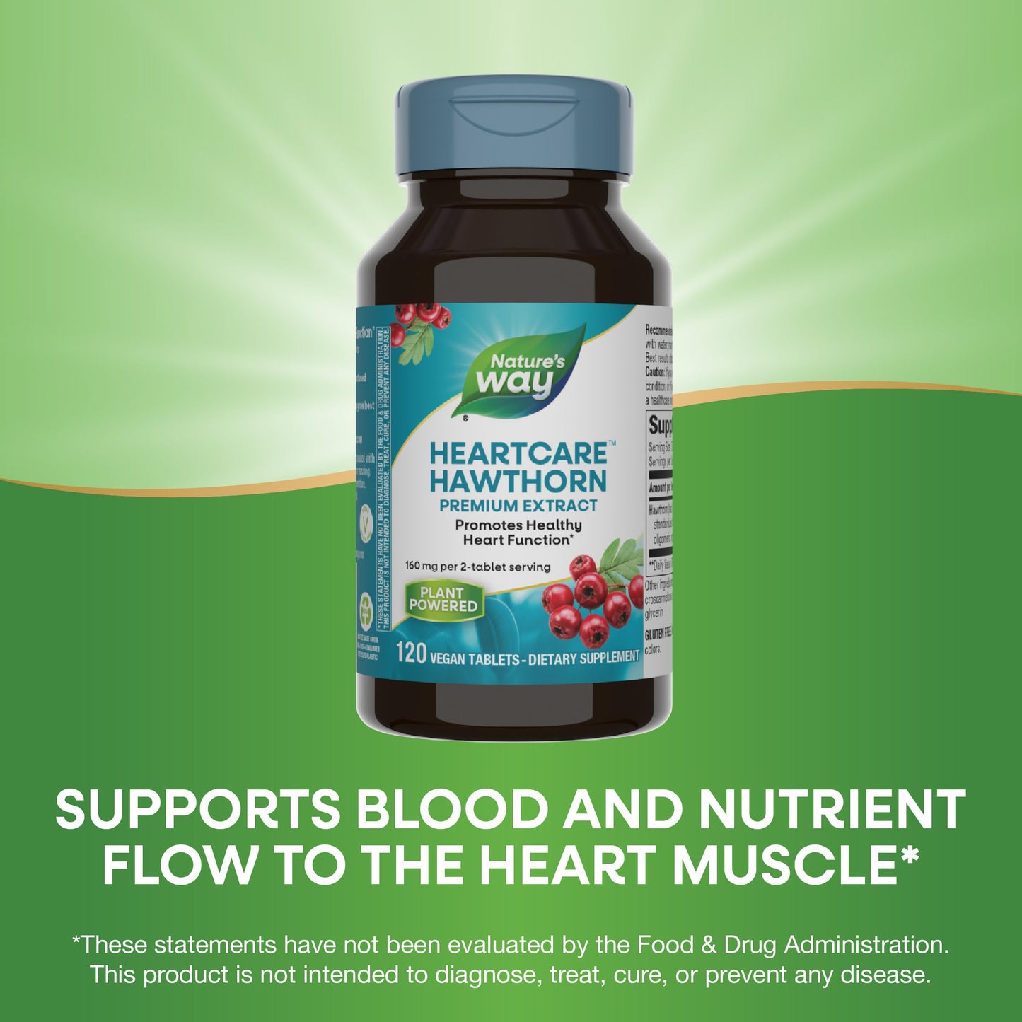 Nature's Way Heart Care Hawthorn Extract, Supports Healthy Heart Function*, 120 Tablets