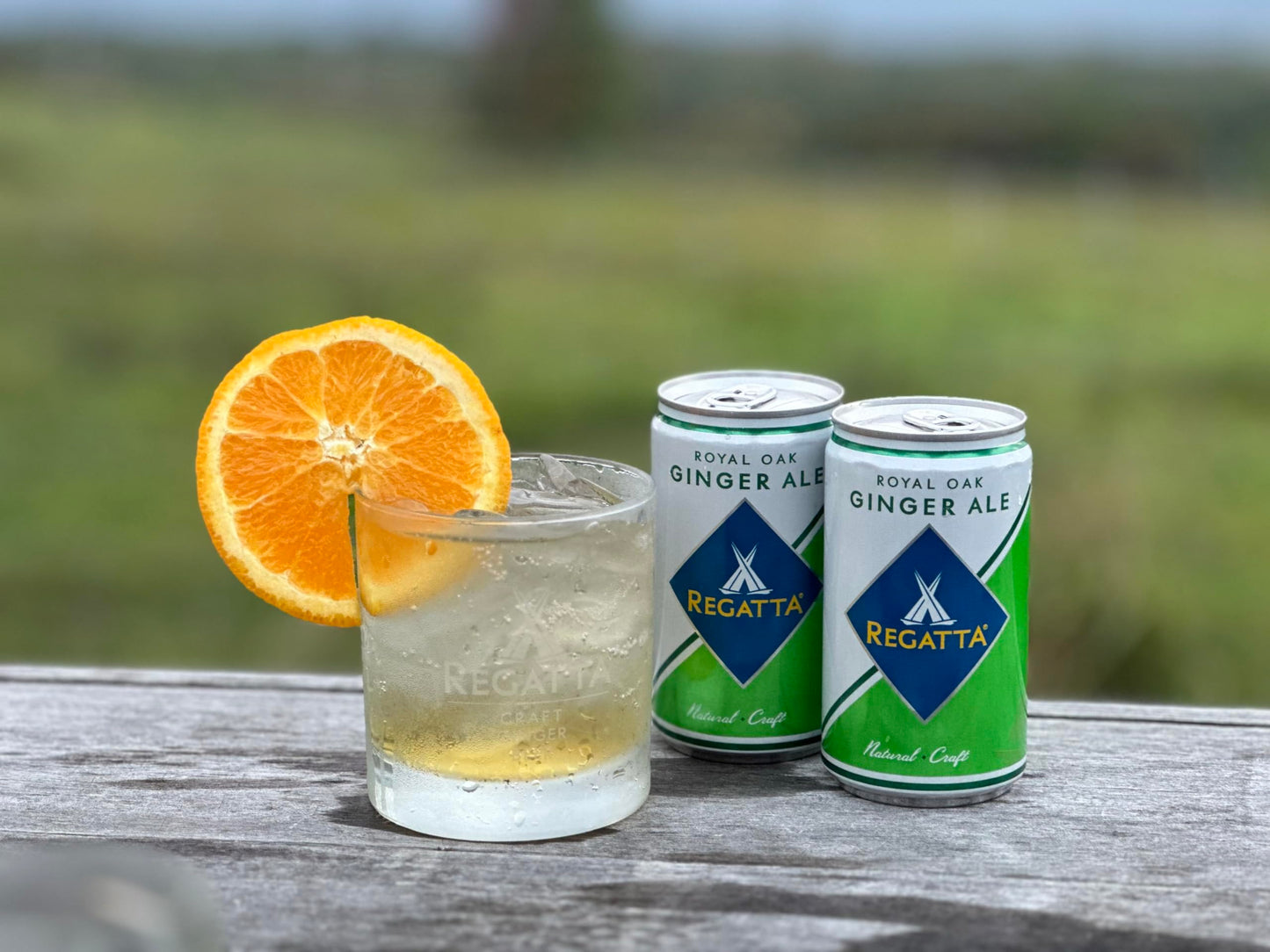 Royal Oak Ginger Ale by Regatta Premium Soda and Cocktail Mixer AllNatural Ingredients 75oz Case of 24 Sleek Cans