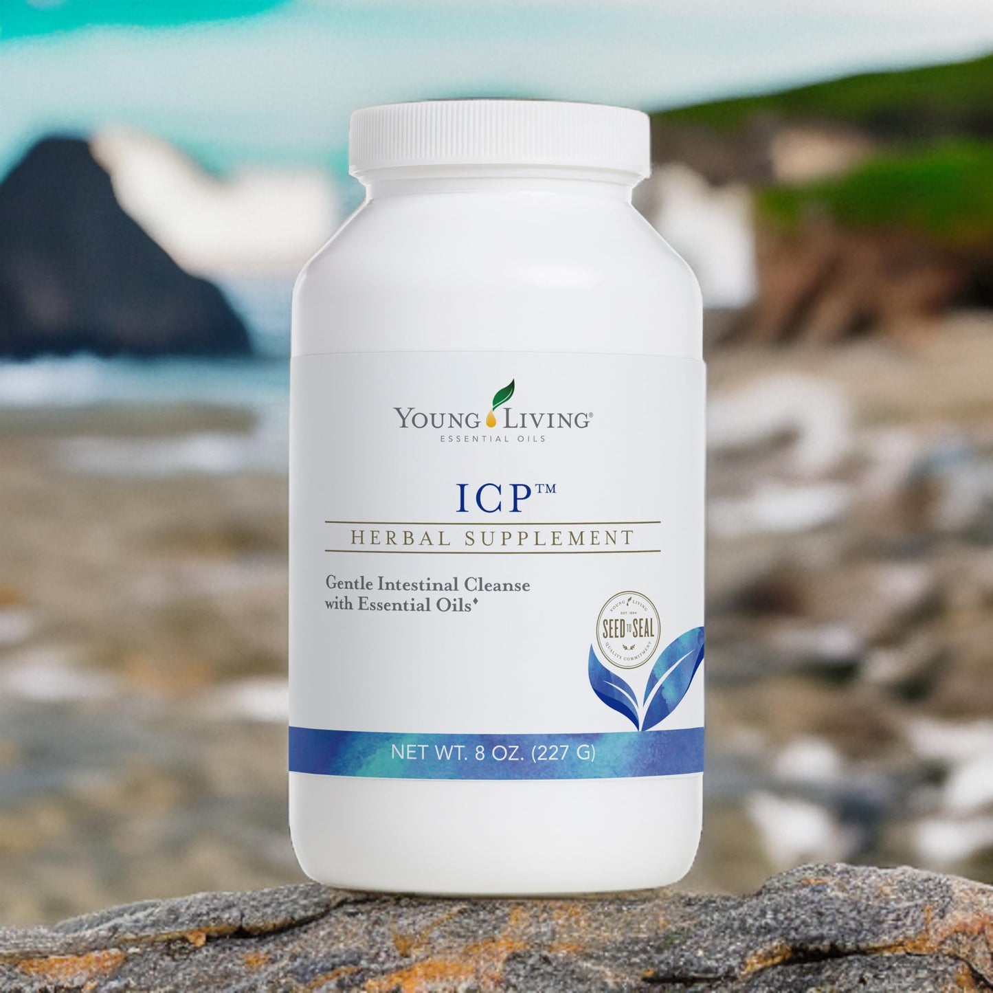 Young Living ICP 8oz. - Premium Essential Oils Nutrient Absorption Support Powder - Psyllium Fiber Supplement with Natural Soluble and Insoluble Fiber Blend