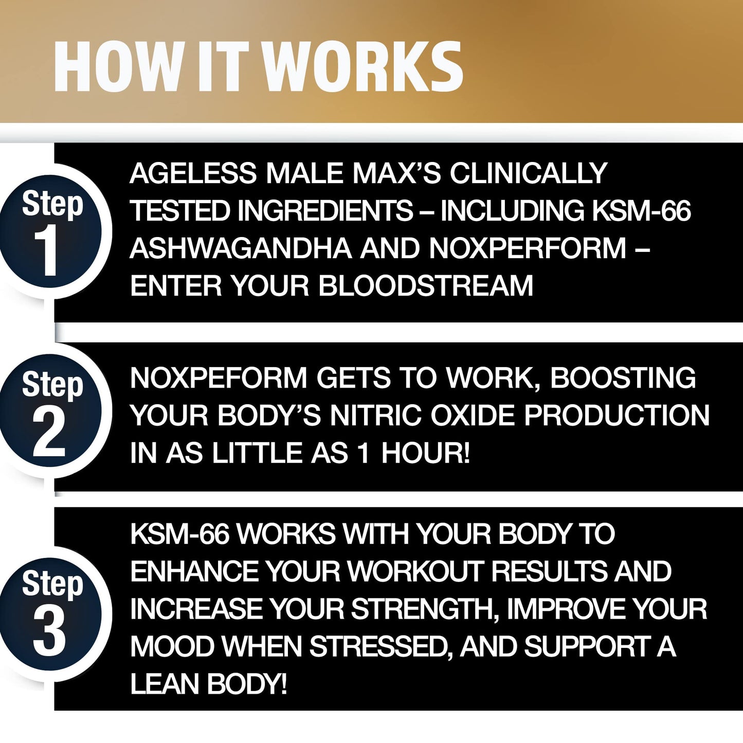 Ageless Male Max Chewable Nitric Oxide Booster Supplement for Men - High Potency Ashwagandha Extract to Boost Workouts, Muscle & Performance, Reduce Stress, Support Sleep - 100 Count