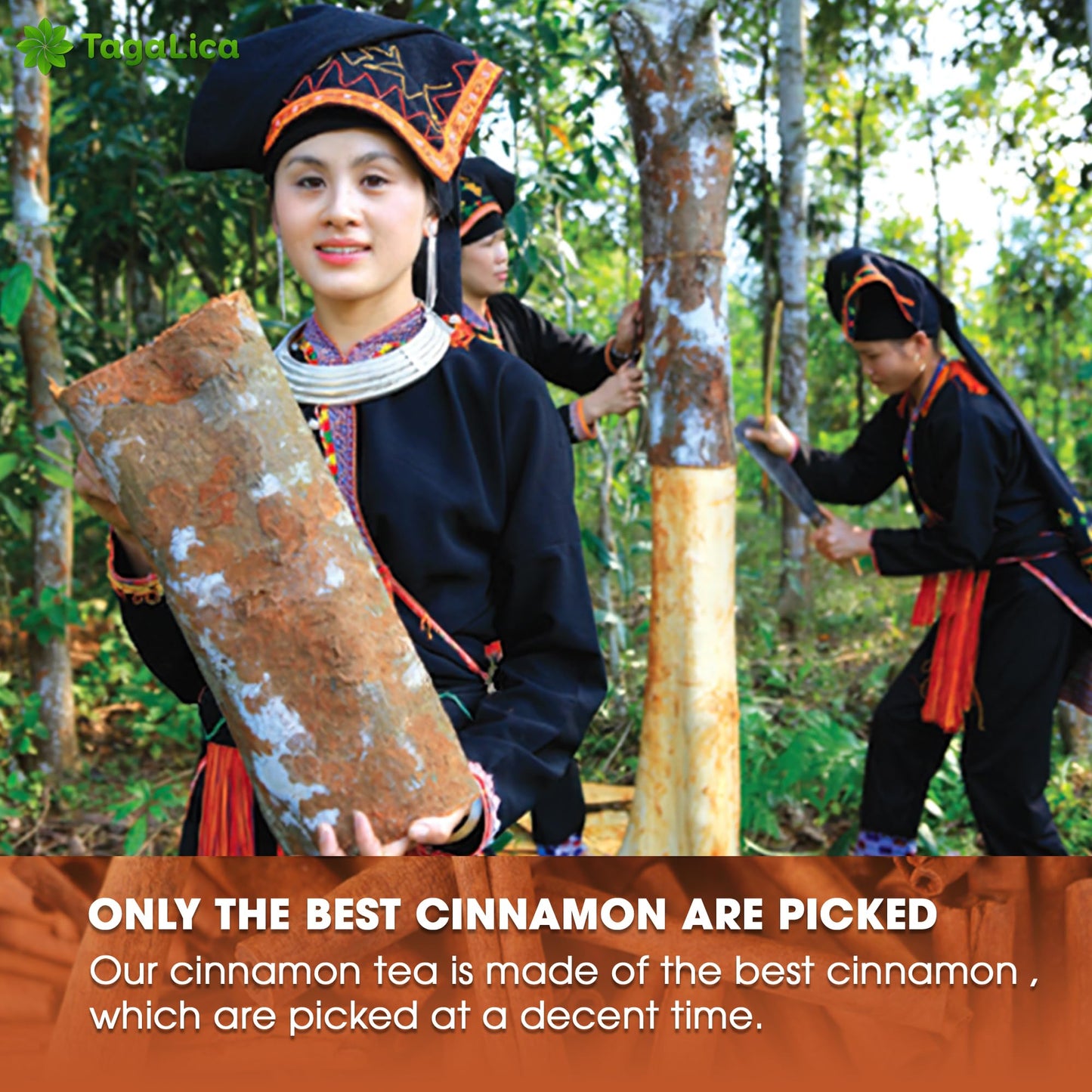 Tagalica 25 Cinnamon Tea Bags 100 Natural  Pure from Cinnamon Sticks Cinnamon Herbal Tea Cinnamon Stick Herbal Spice Tea No Sugar No Caffeine No Gluten Vegan