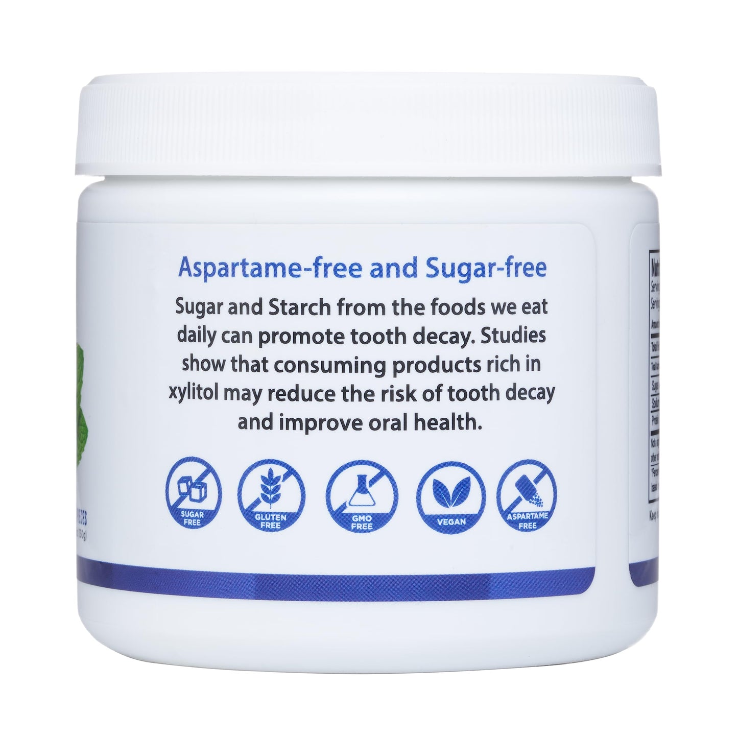 Evergreen Sweets Chewing gum 100 Count Jar  Natural Peppermint Gum Made with Xylitol and Stevia  SugarFree Aspartame Free and Vegan
