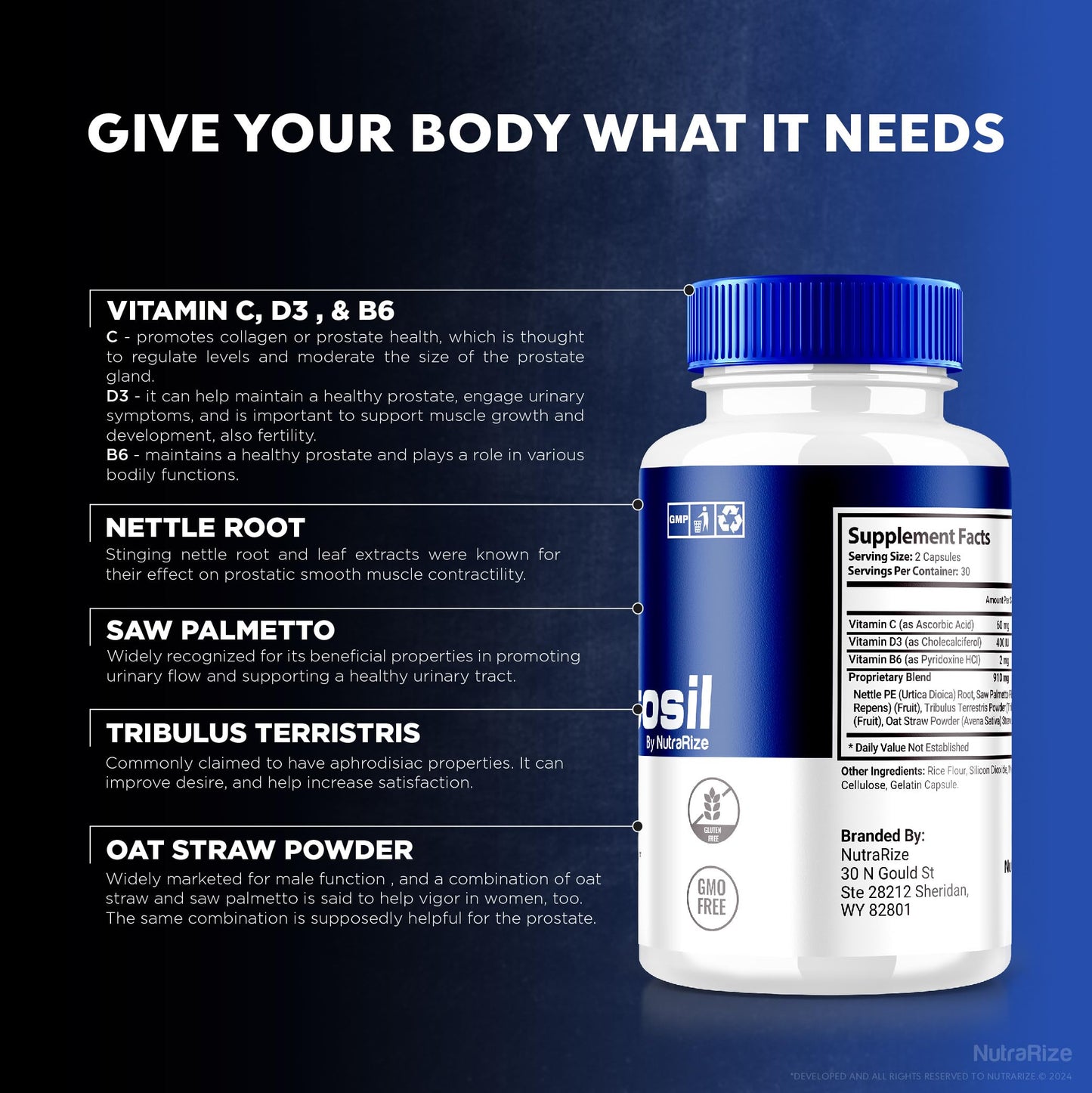 (3 Pack) Prostosil Capsules, All Natural Formula For Prostate Health Support, Maximum Strength Herbal Supplement for Control and Overall Health, Prosto sil Vitamin Pills Official Review (180 Capsules)