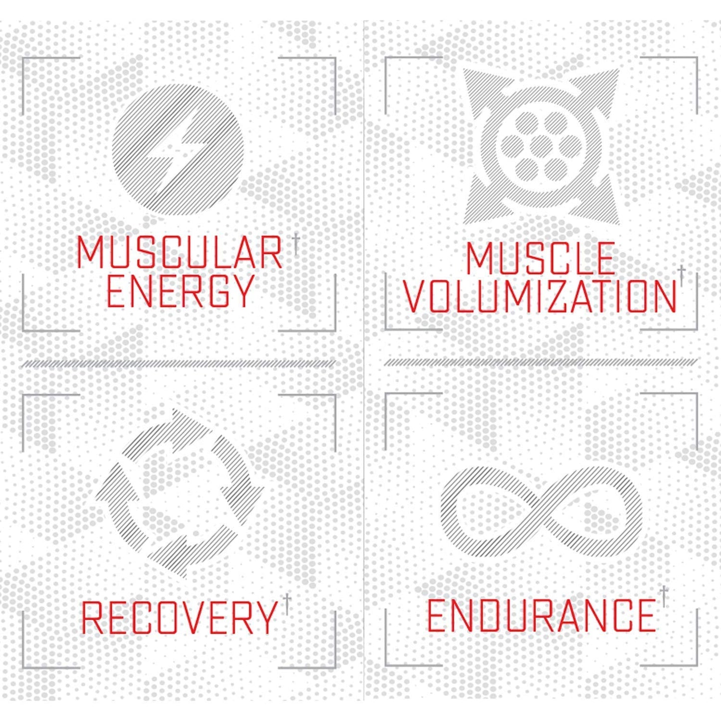 Purus Labs Foundation Series Citrulline Malate Powder | Active Amino Acid L-Citrulline | Strength, Volume, & Recovery | 100 Servings (Unflavored)