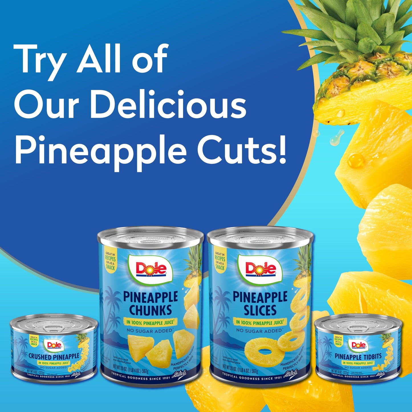 Dole Canned Fruit Pineapple Chunks in 100 Pineapple Juice Gluten Free Pantry Staples 8 Oz 12 Count Packaging May Vary