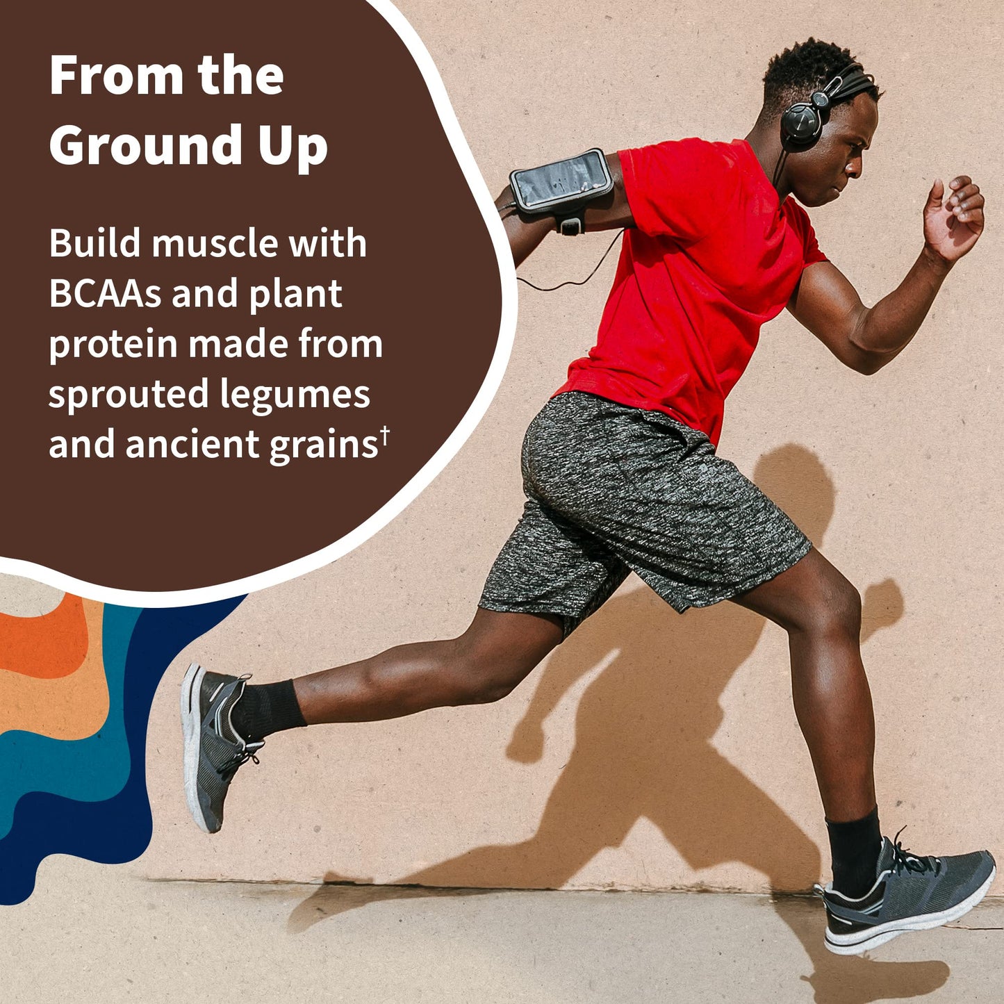 Organic Vegan Chocolate Protein Powder - Garden of Life - 22g Complete Plant Based Raw Protein & BCAAs Plus Probiotics & Digestive Enzymes for Easy Digestion, Non-GMO Gluten-Free, Lactose Free 1.5 LB